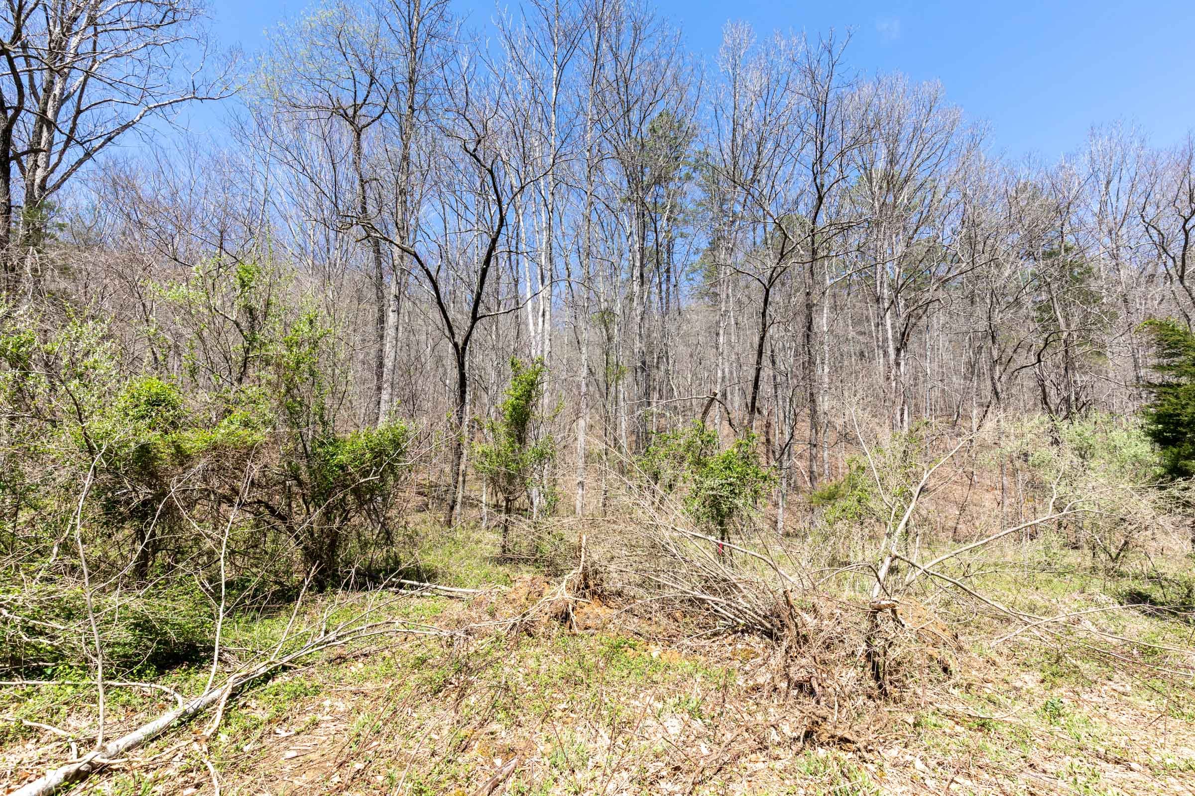 Woodland Heights Tract 6 photo 5