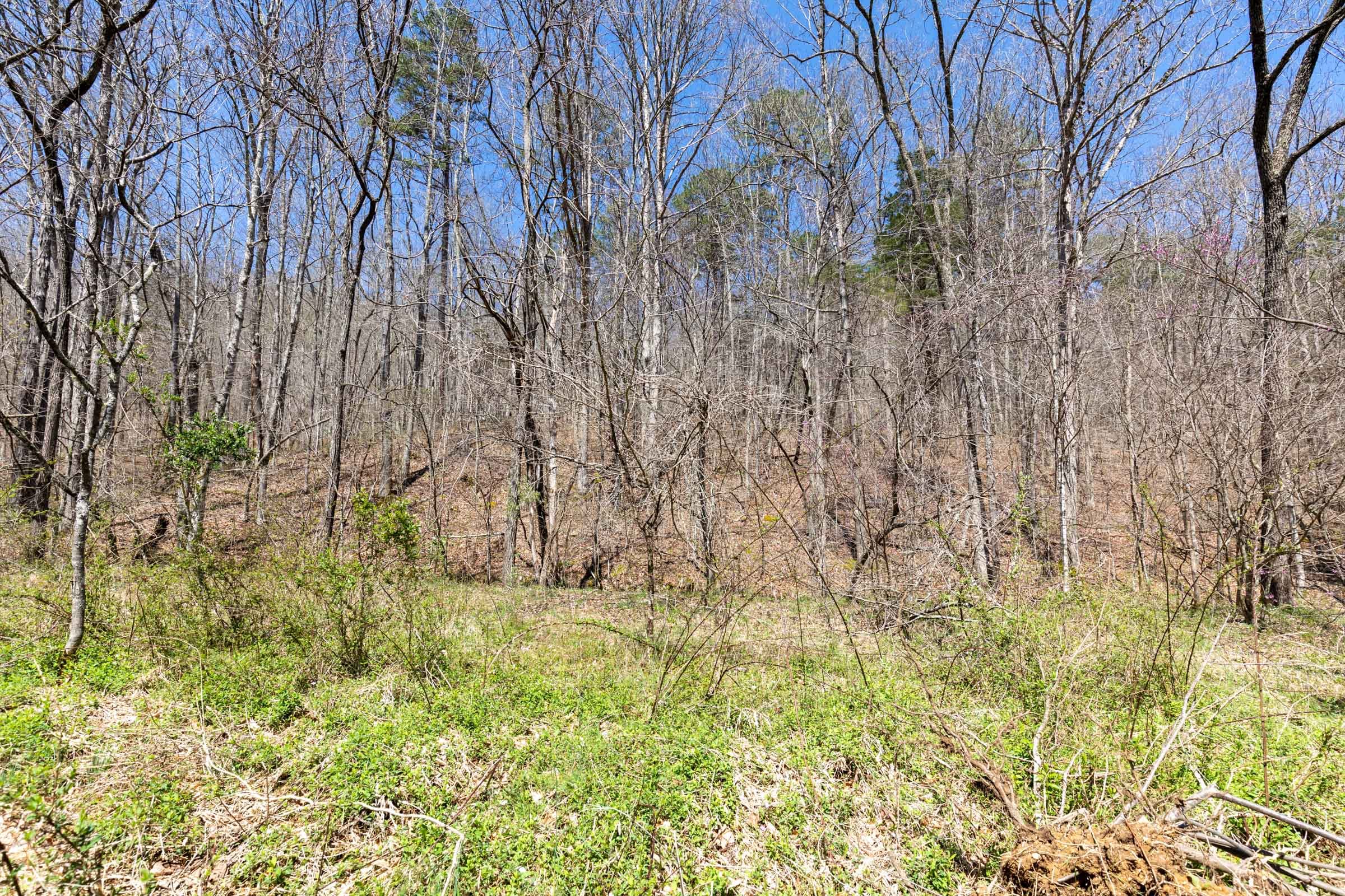 Woodland Heights Tract 6 photo 6