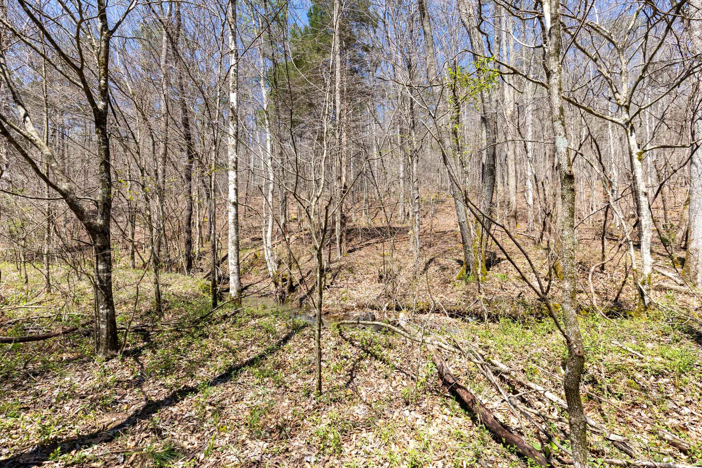 Woodland Heights Tract 6 photo 8