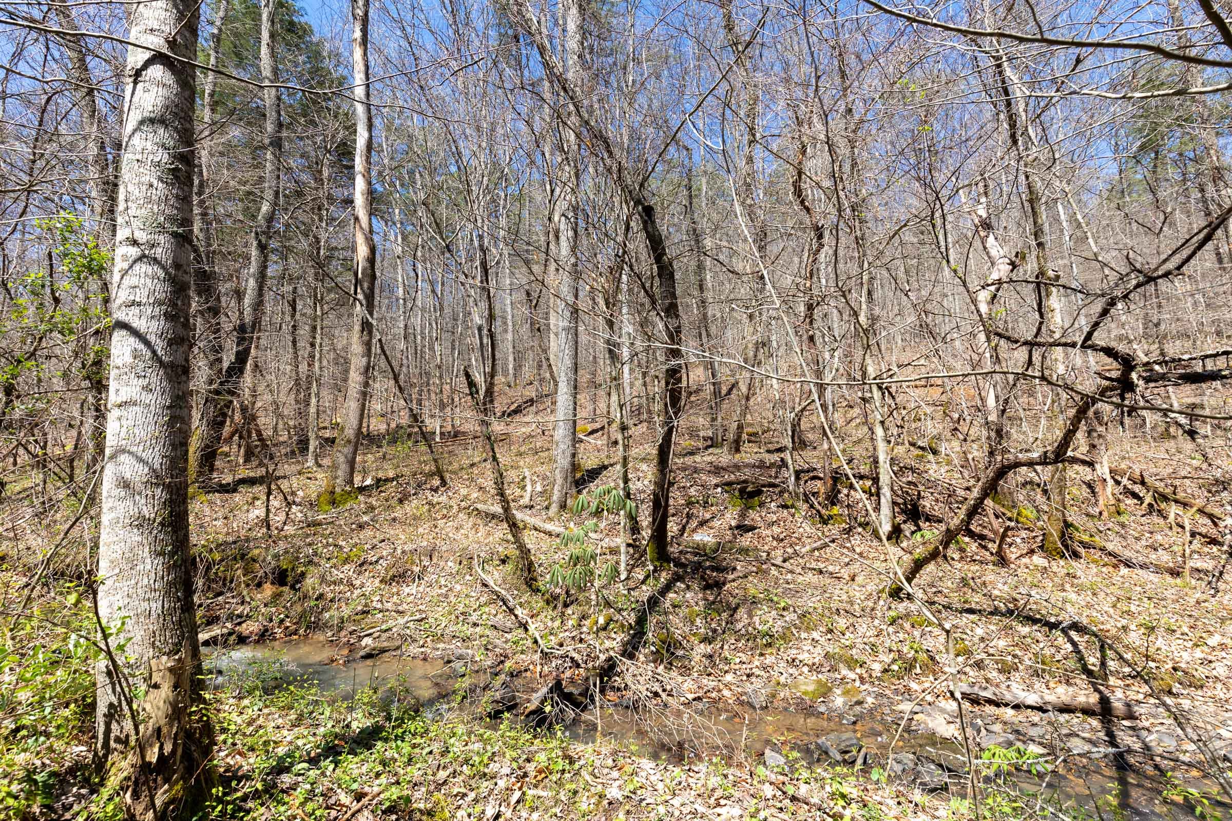 Woodland Heights Tract 6 photo 4