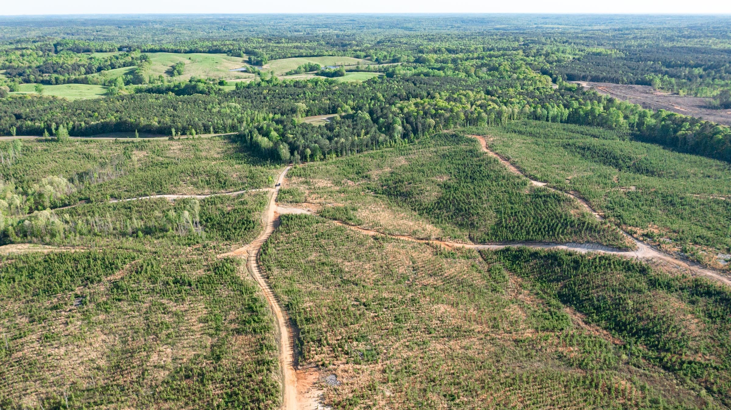 Clear Wood Tract 7 photo 2