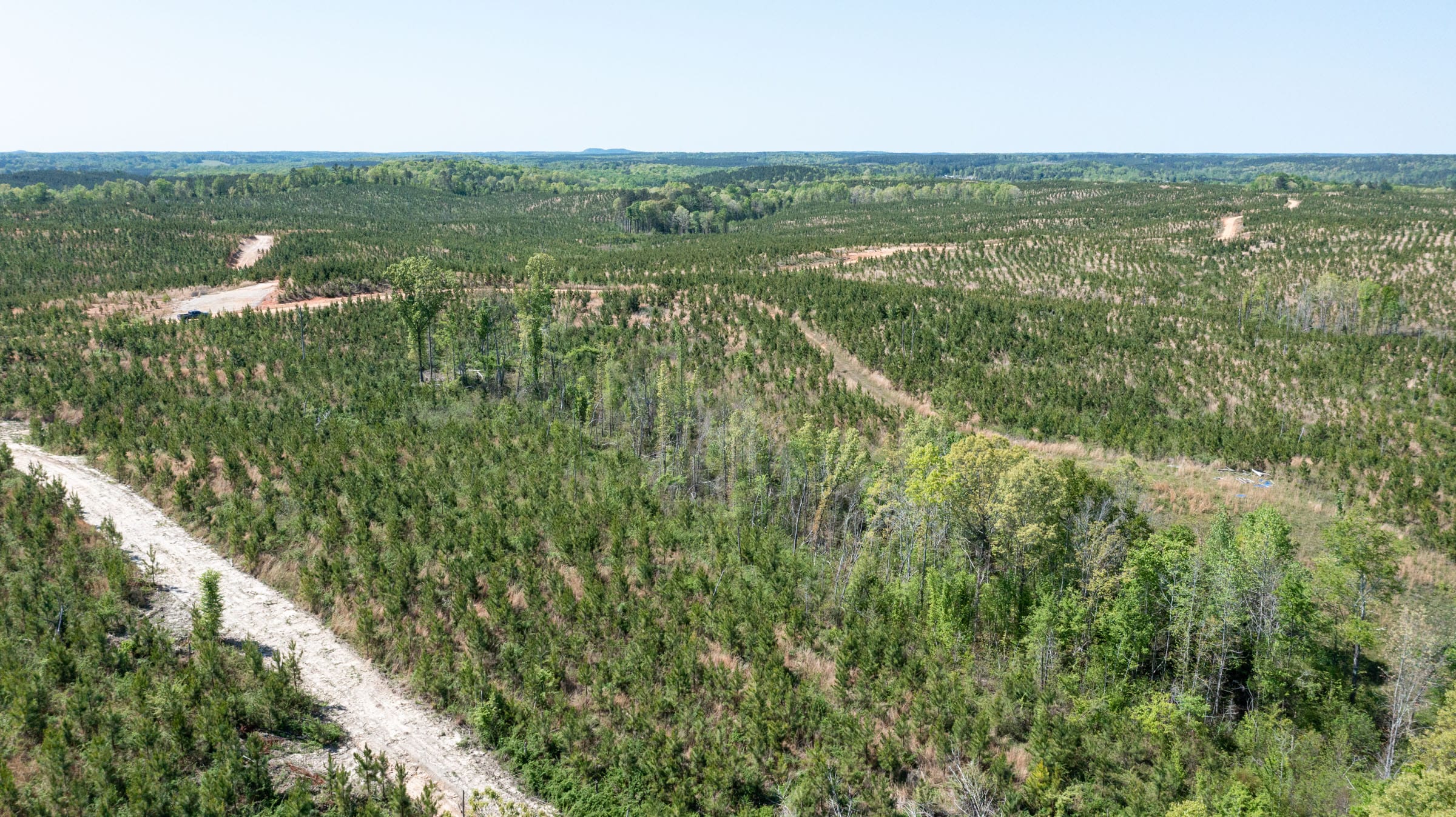 Clear Wood Tract 7 photo 4