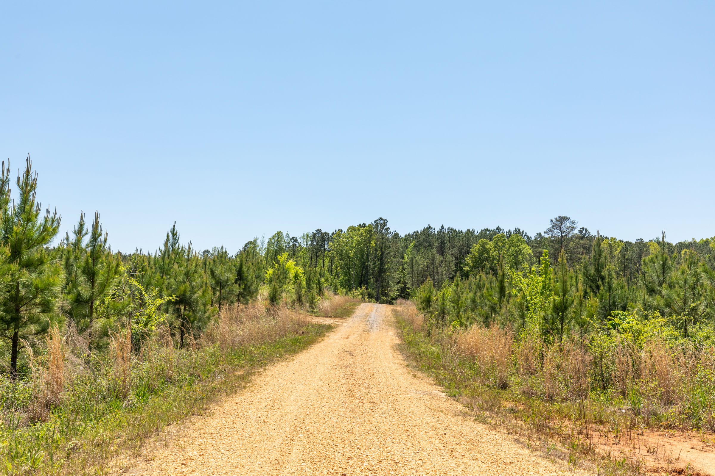 Clear Wood Tract 7 photo 1