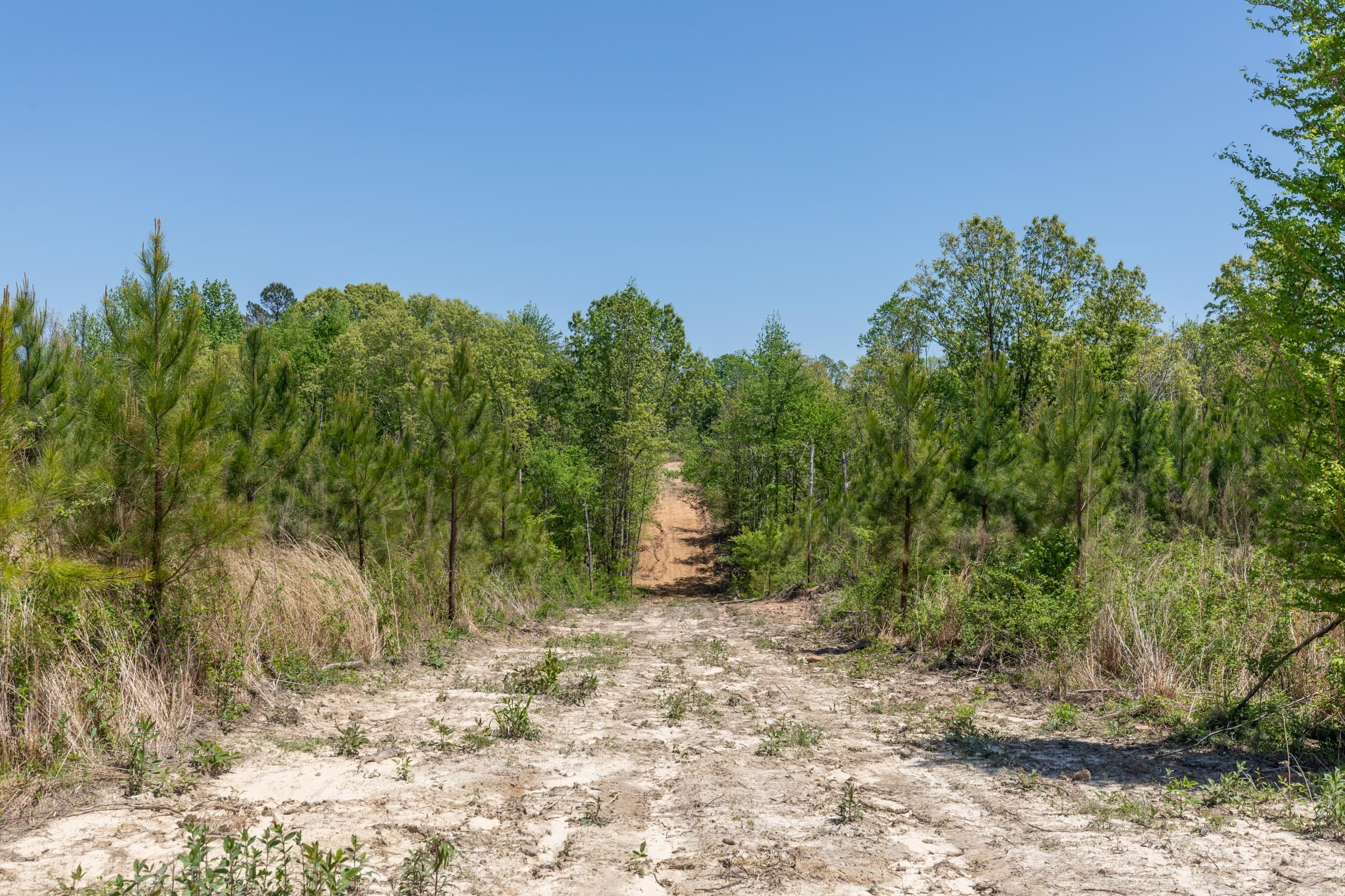 Clear Wood Tract 7 photo 14