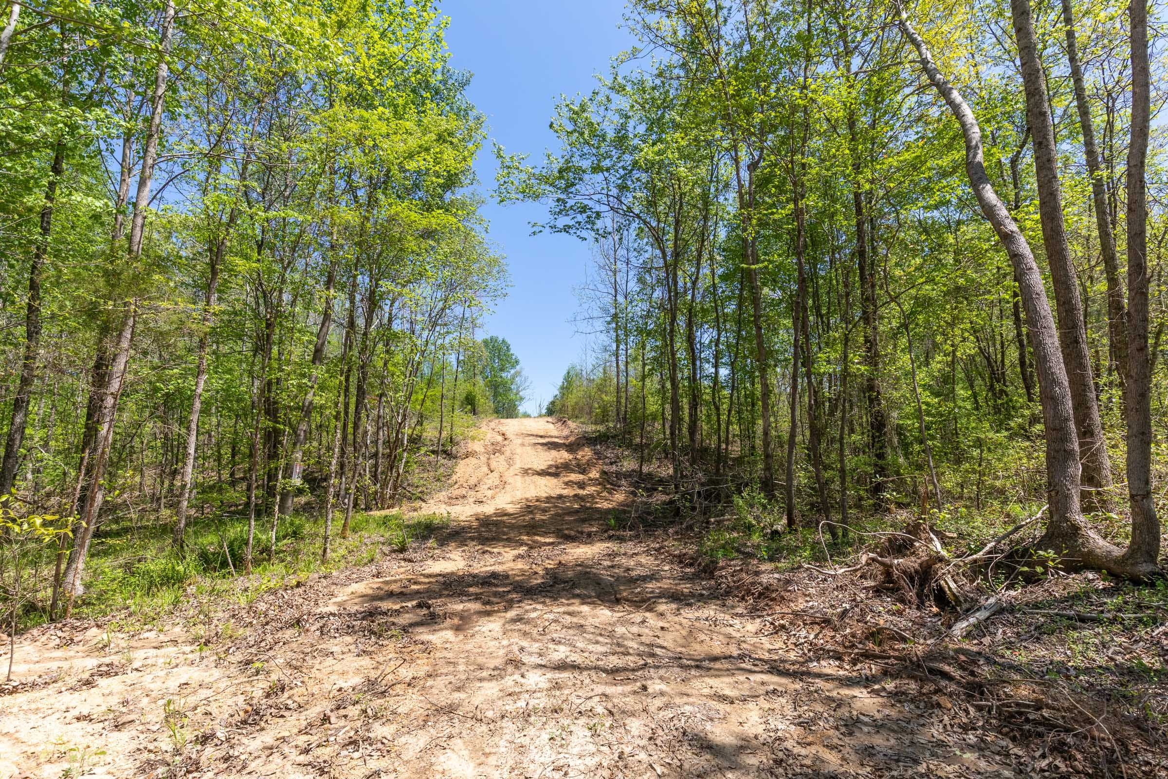 Clear Wood Tract 7 photo 19