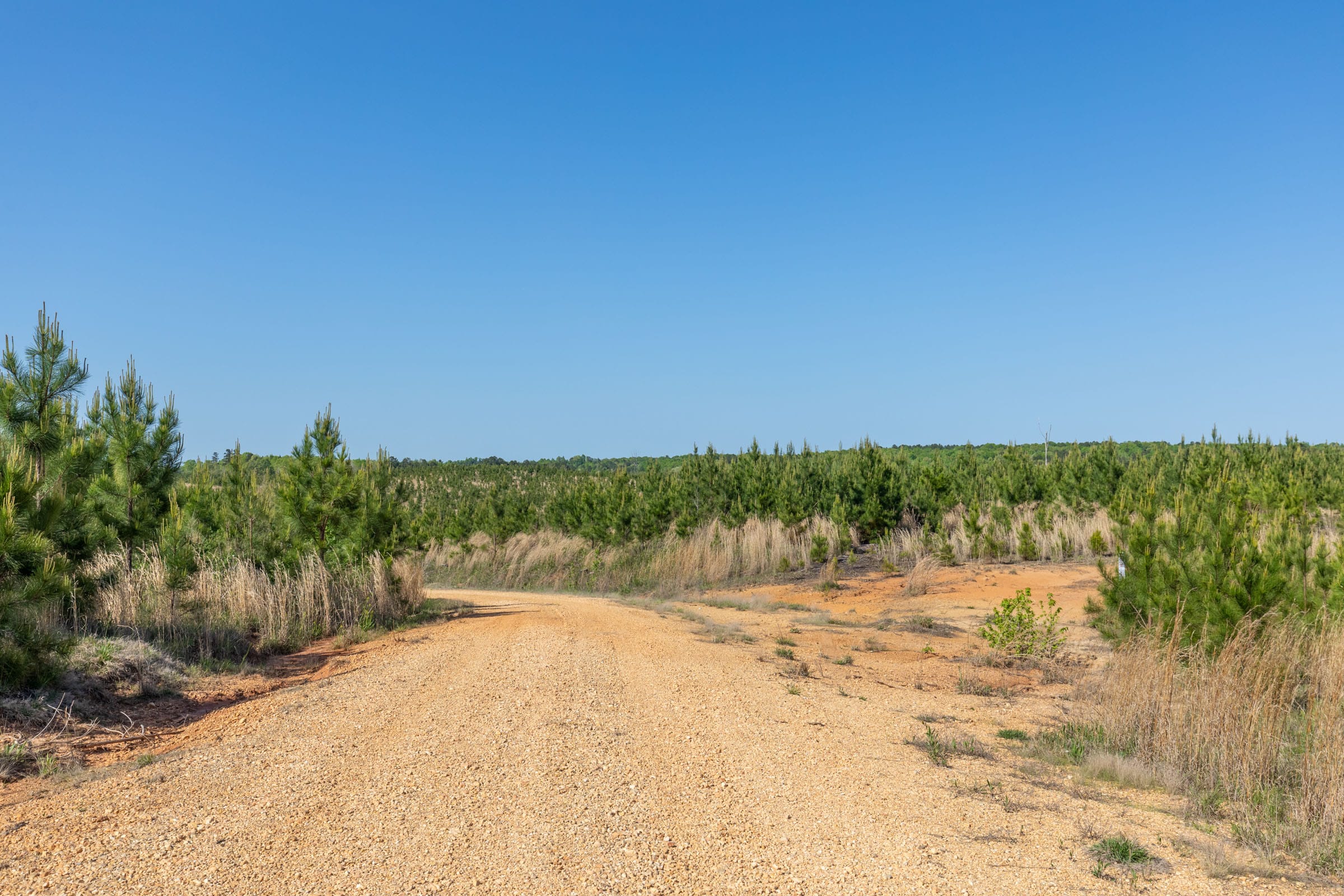 Clear Wood Tract 7 photo 22