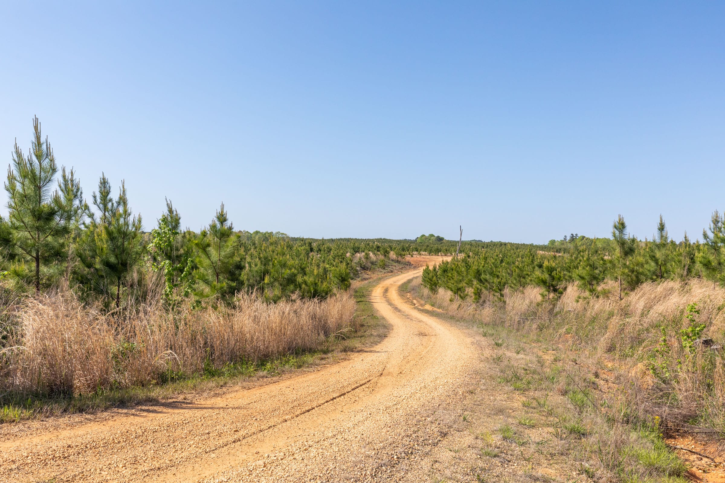 Clear Wood Tract 7 photo 26