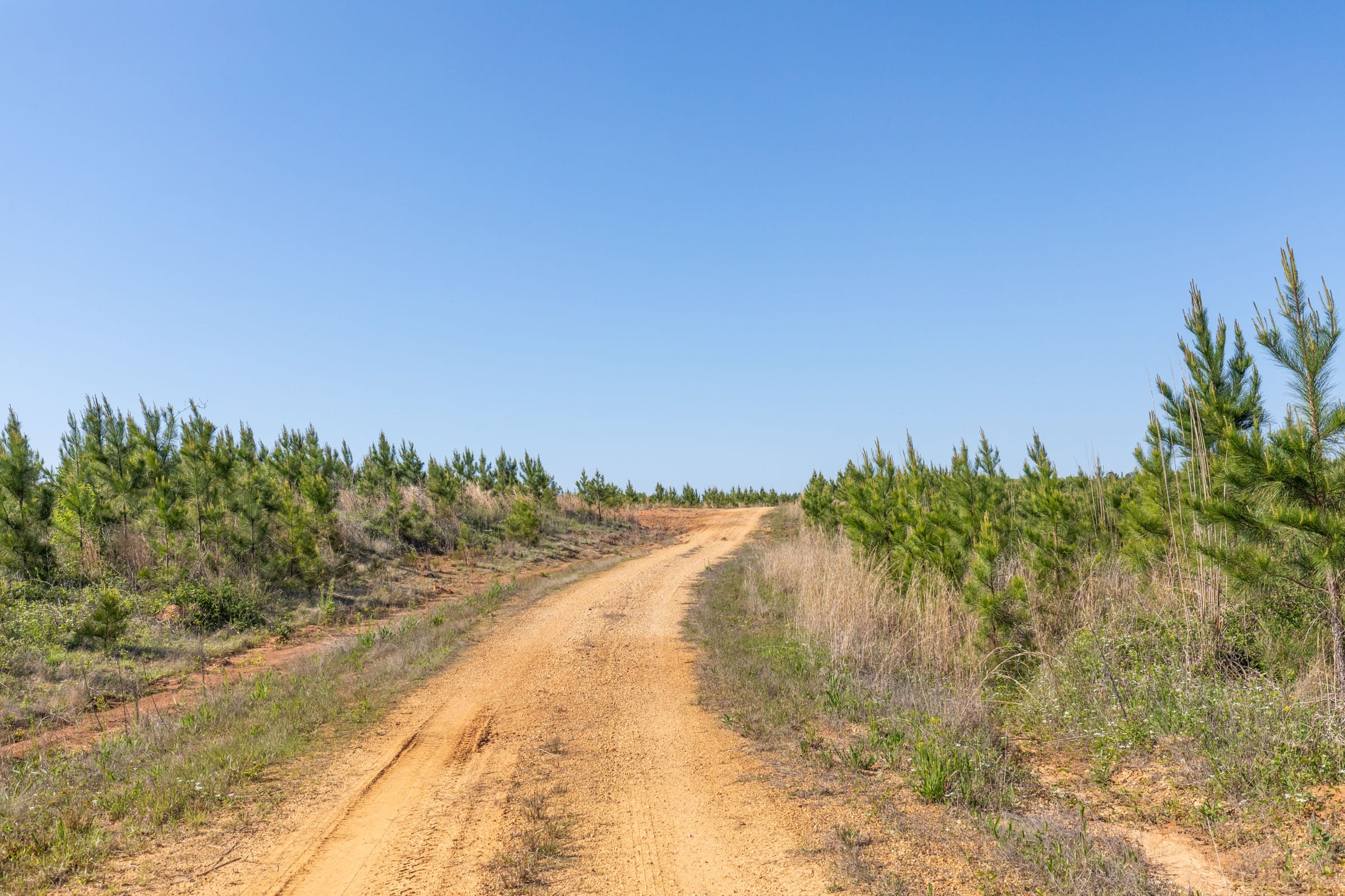Clear Wood Tract 7 photo 28