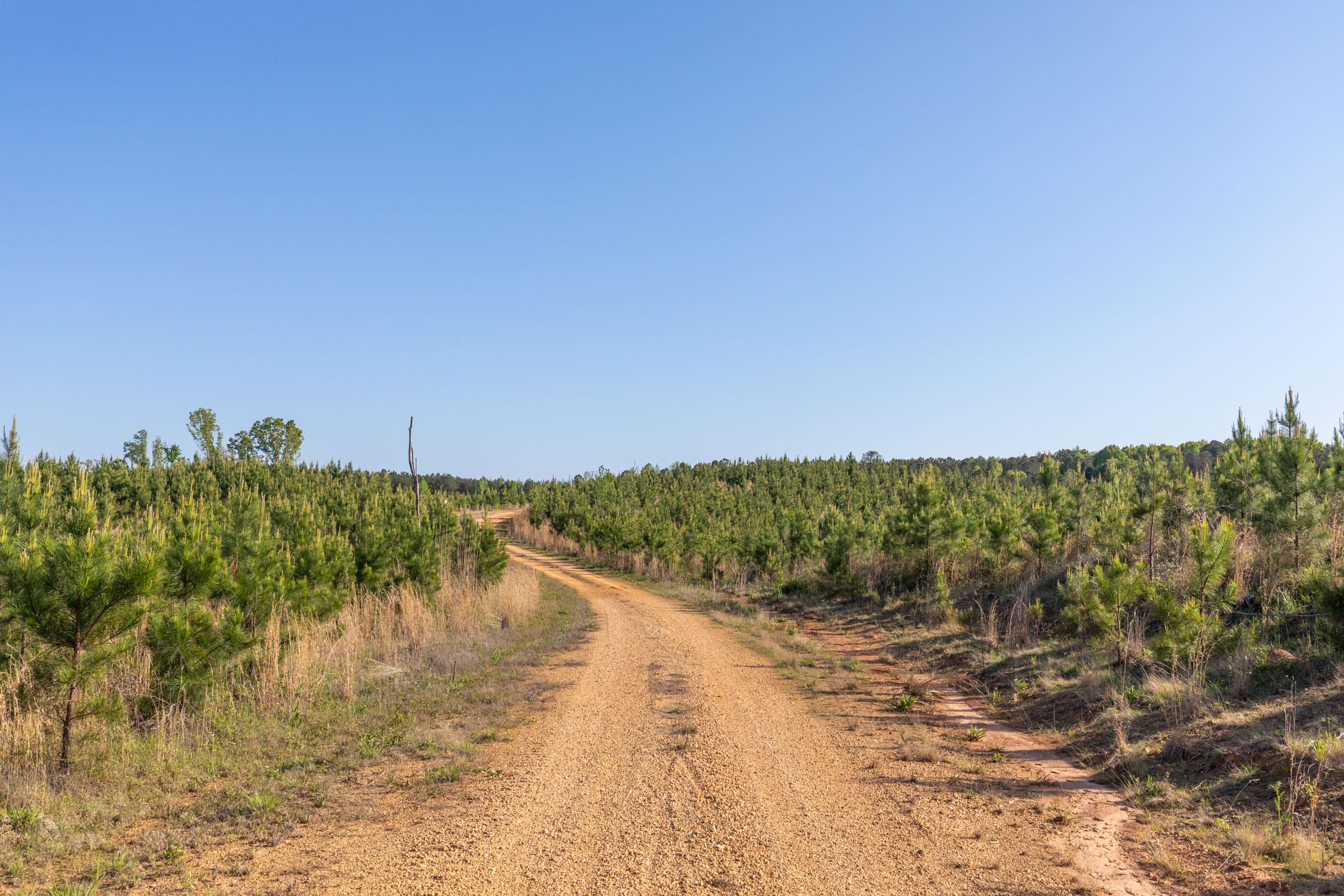 Clear Wood Tract 7 photo 30