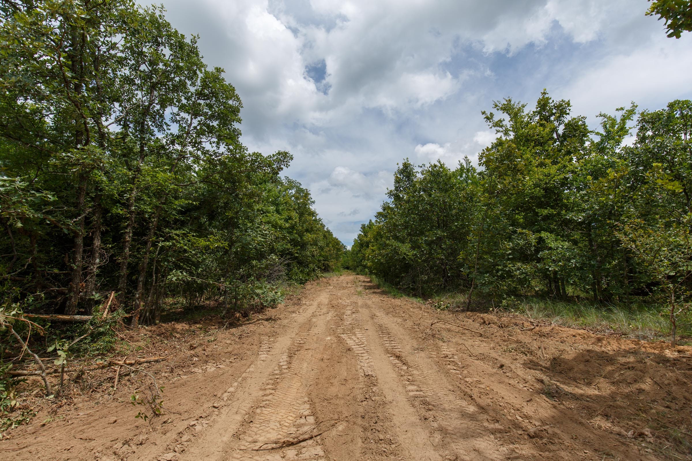 Timber Ridge Tract 4 photo 1