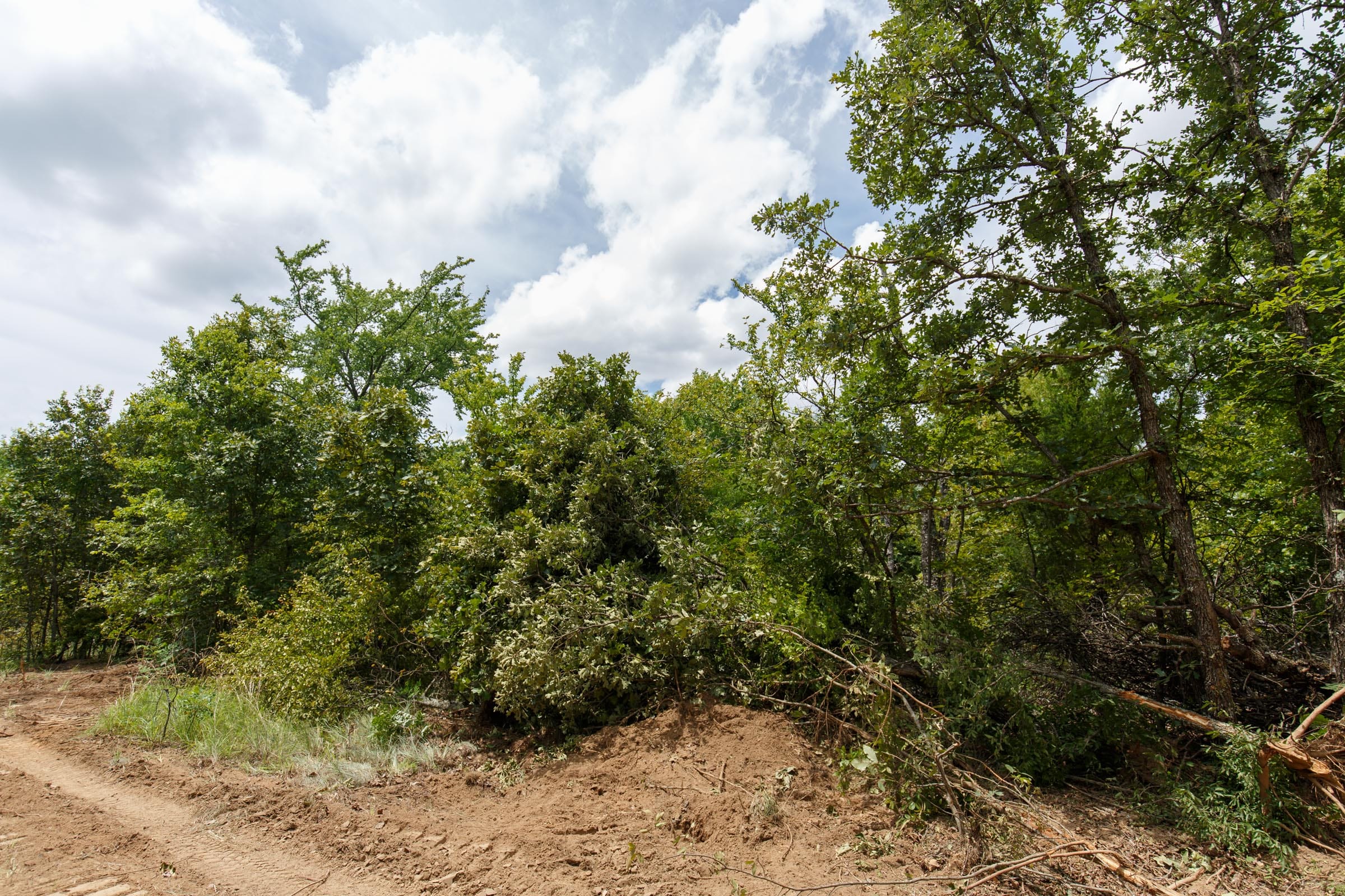 Timber Ridge Tract 4 photo 6