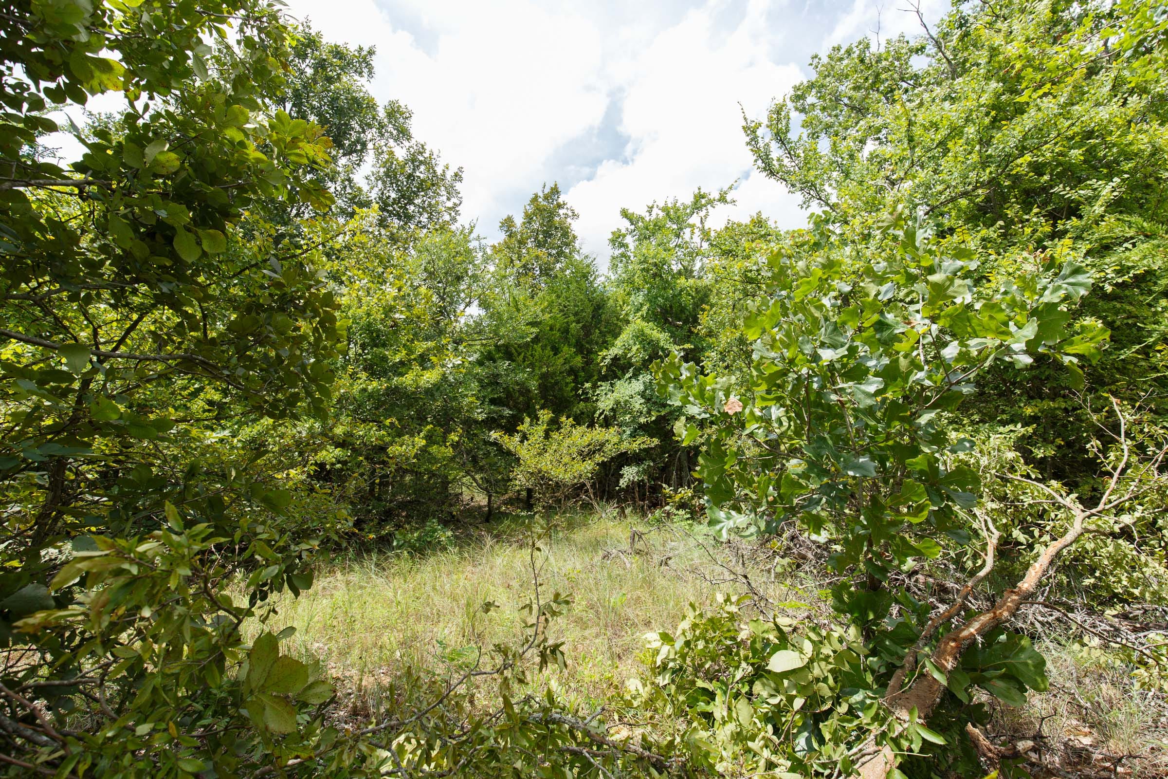 Timber Ridge Tract 4 photo 2