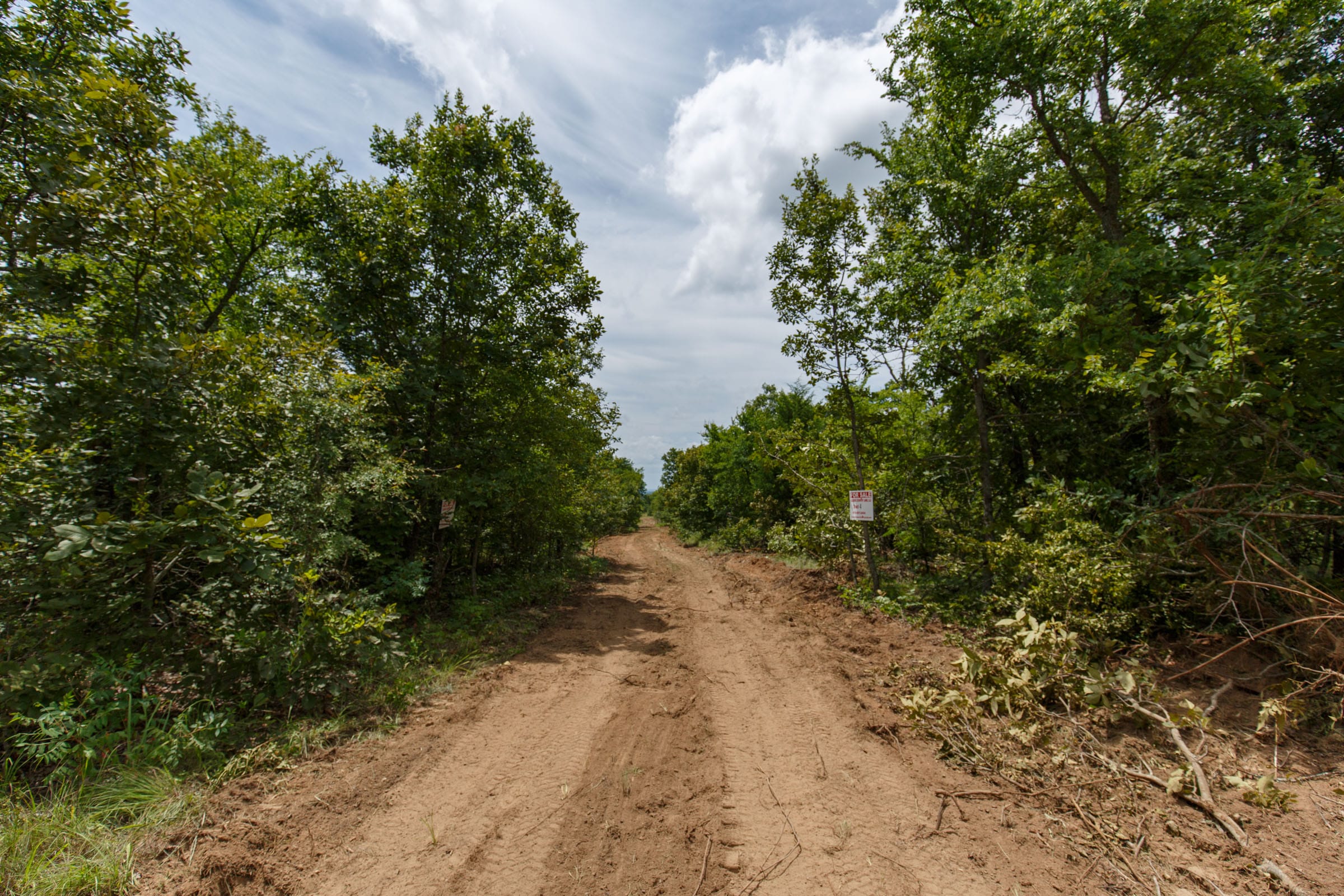 Timber Ridge Tract 4 photo 4