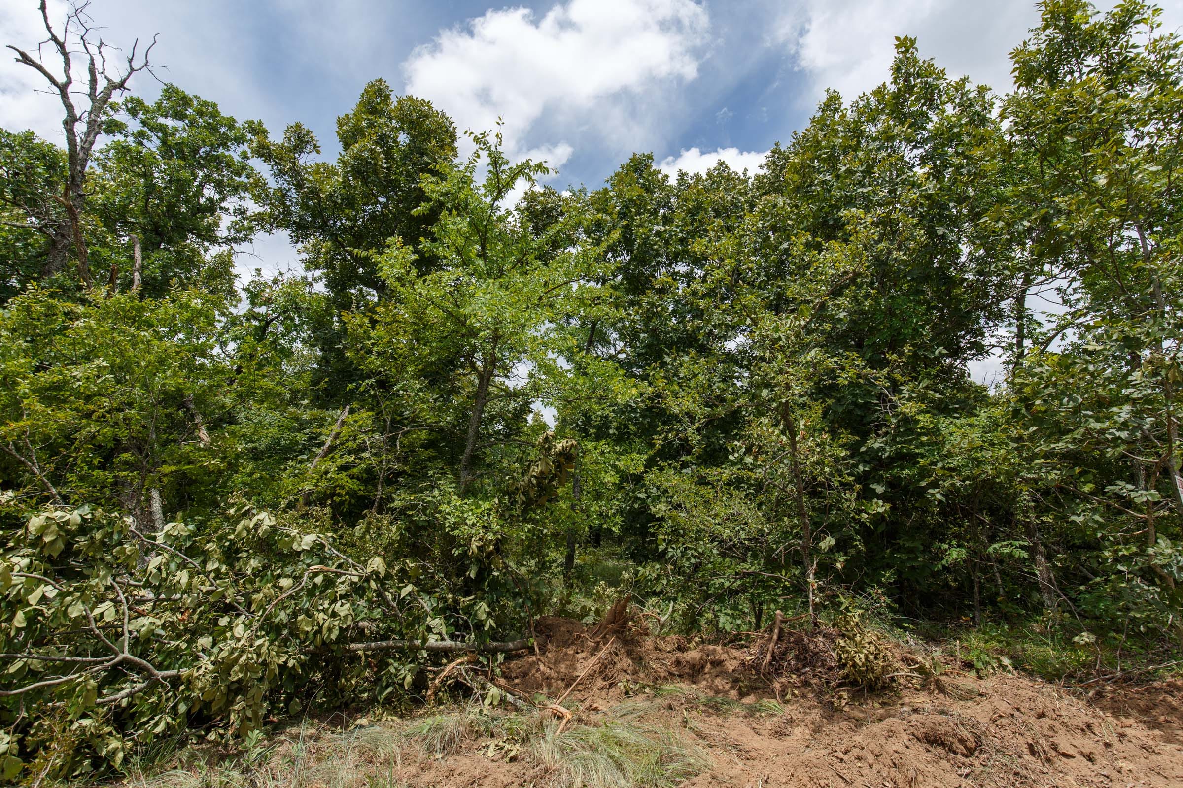 Timber Ridge Tract 4 photo 8