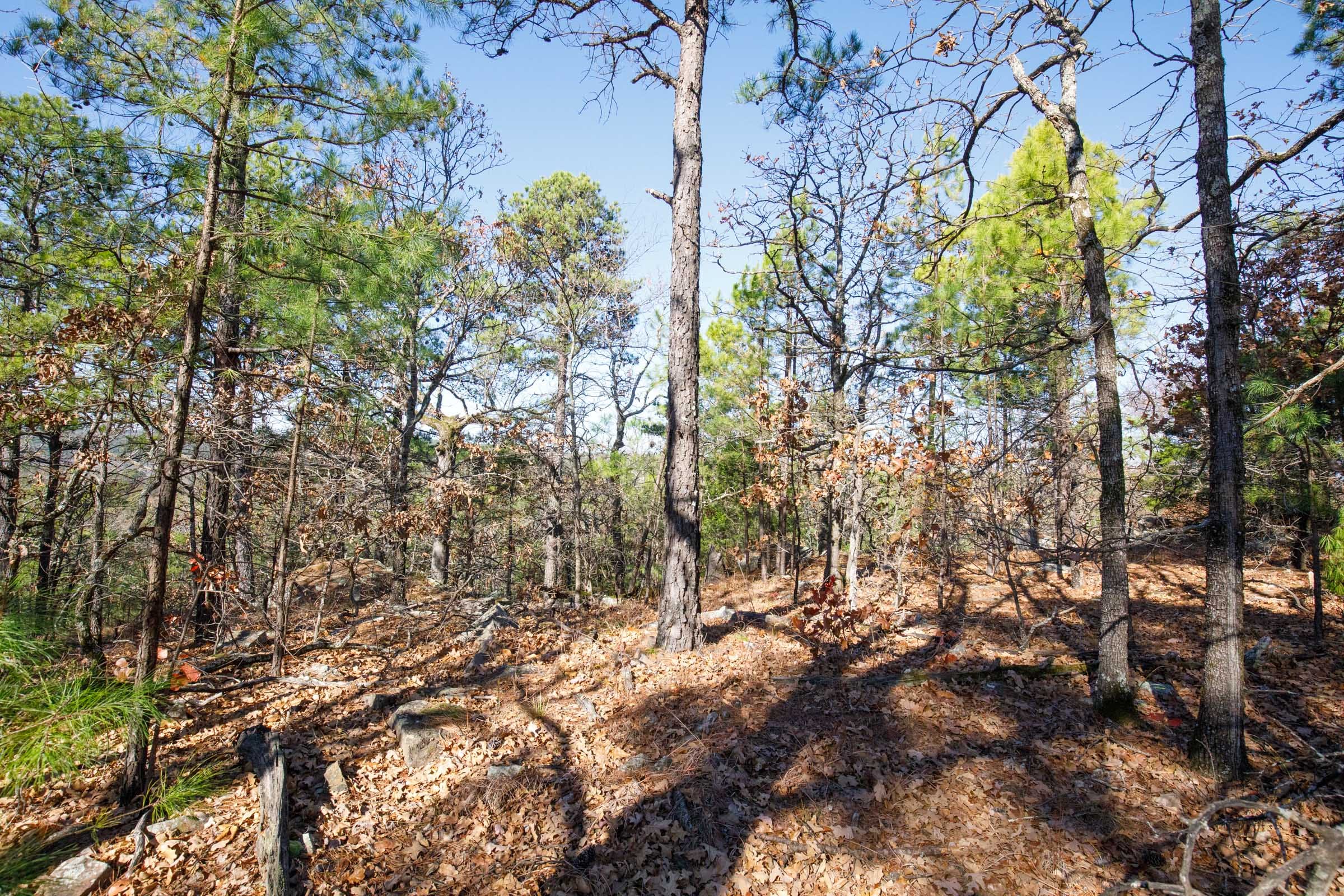 Stone Bridge Phase II Tract 100 photo 3