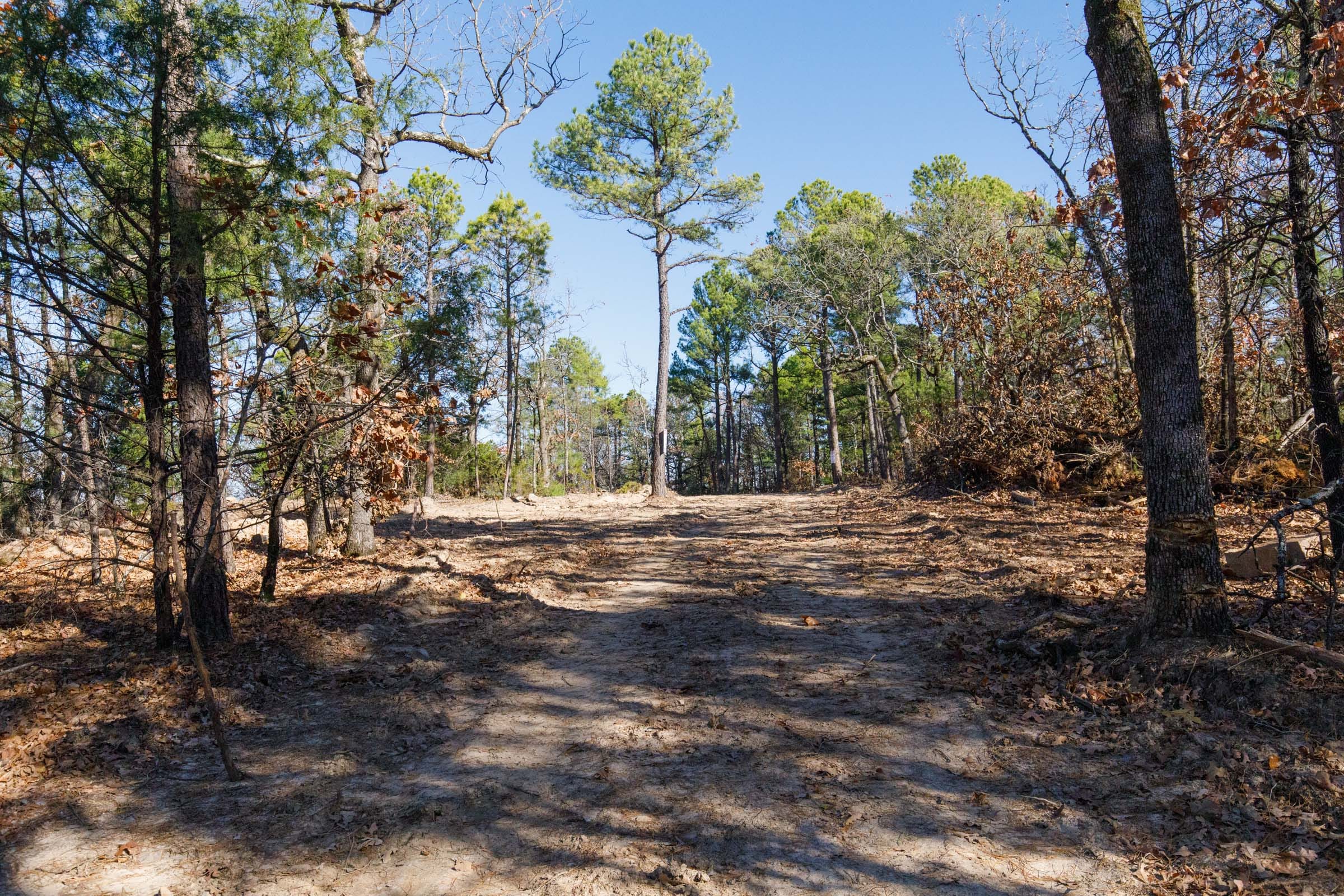 Stone Bridge Phase II Tract 100 photo 1