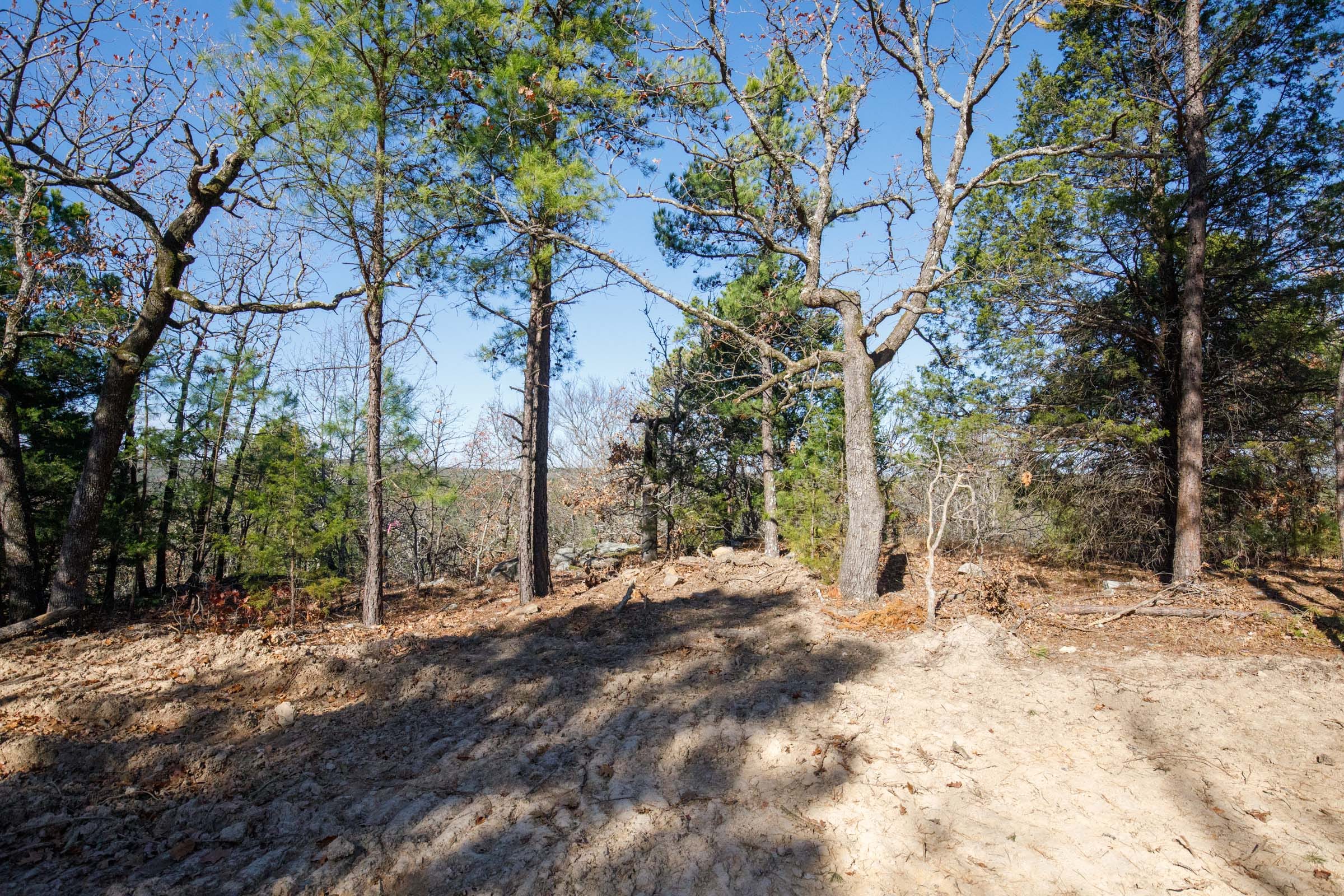 Stone Bridge Phase II Tract 100 photo 5