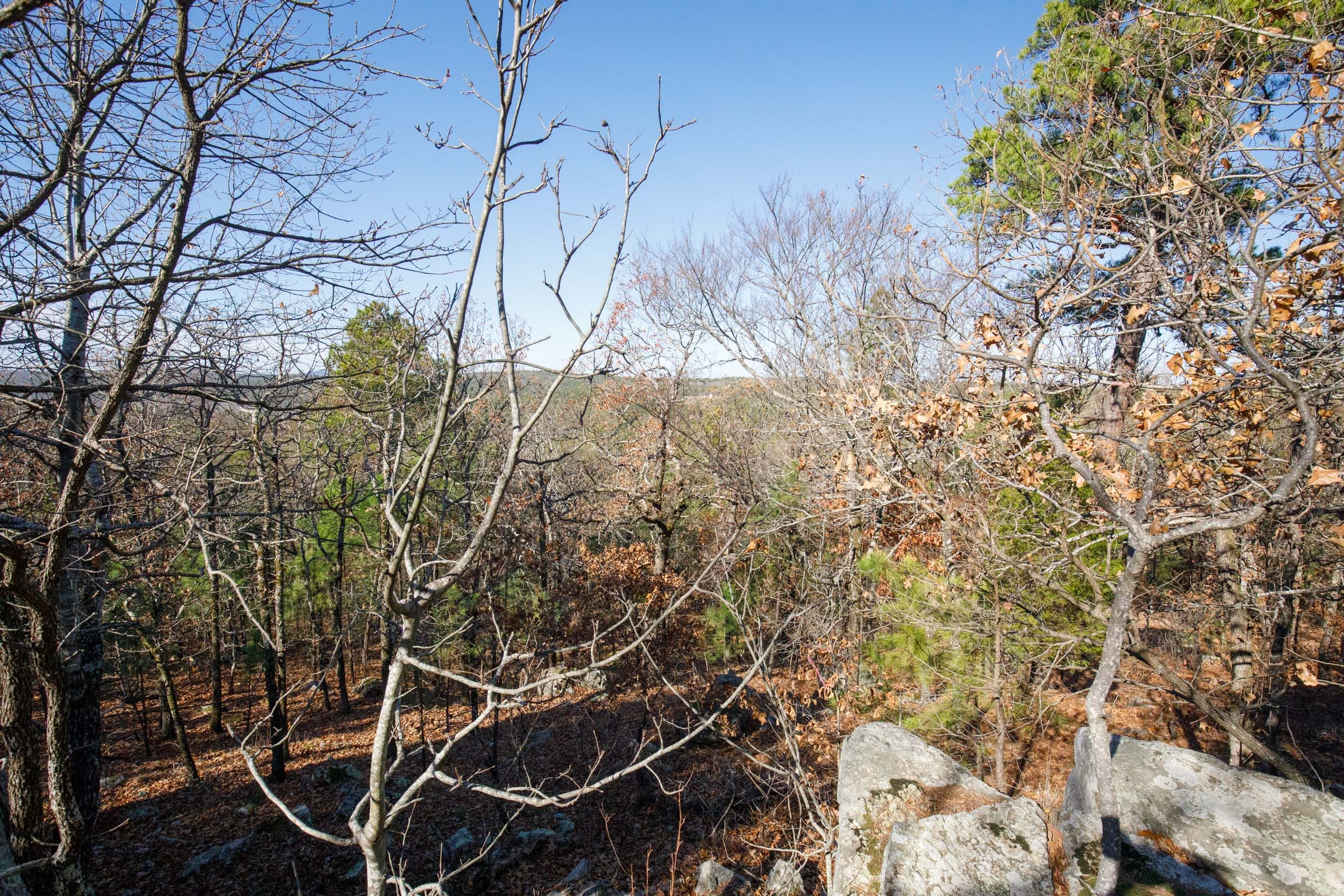 Stone Bridge Phase II Tract 100 photo 6