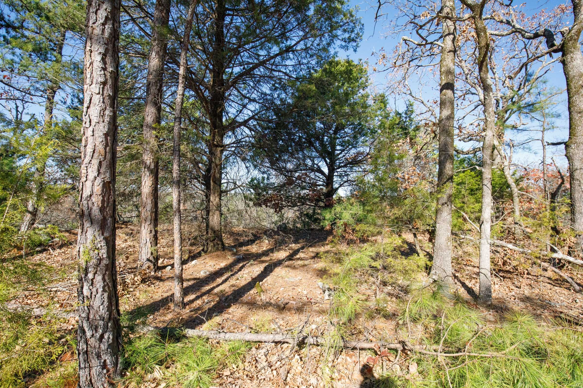 Stone Bridge Phase II Tract 100 photo 10
