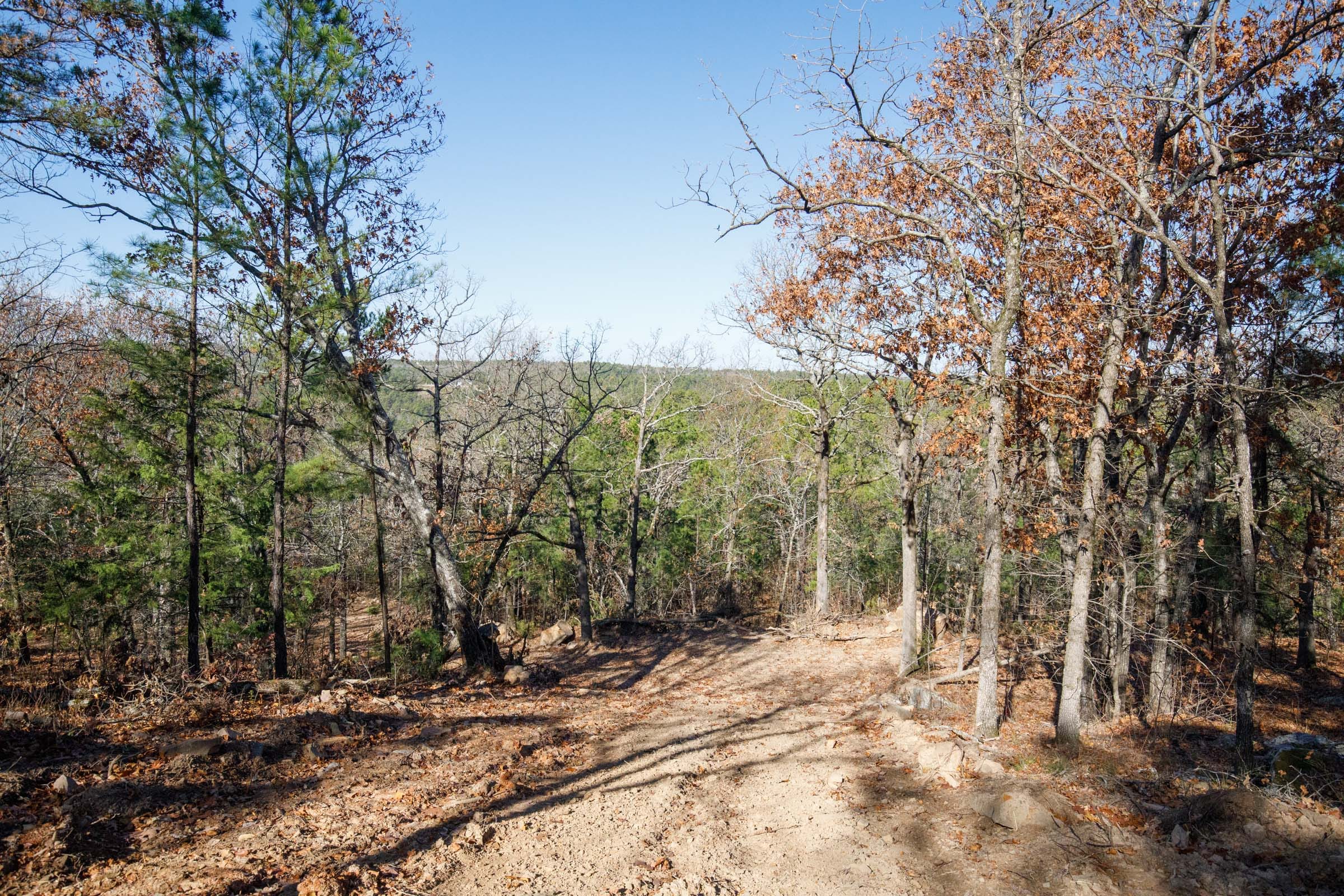 Stone Bridge Phase II Tract 100 photo 12