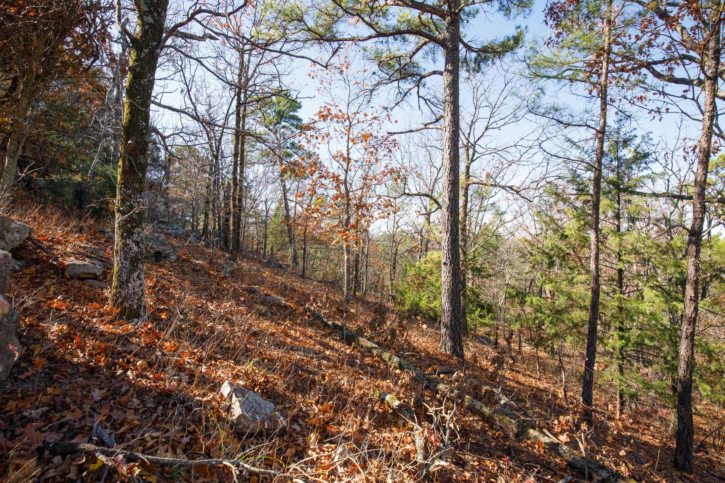 Stone Bridge Phase II Tract 100 photo 11