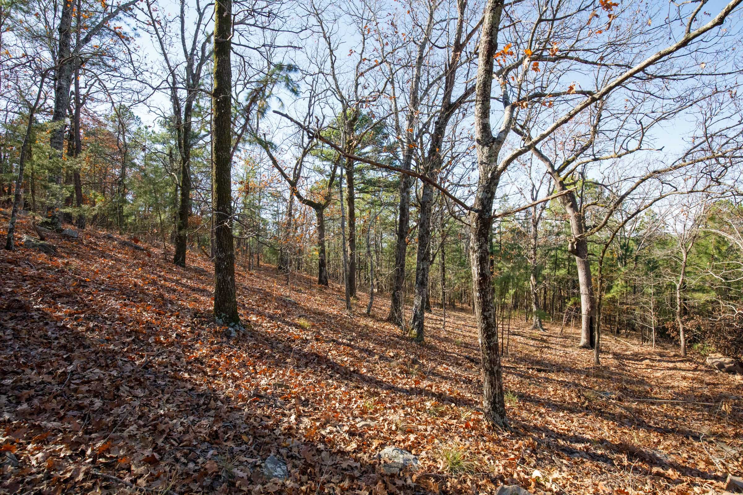 Stone Bridge Phase II Tract 100 photo 13