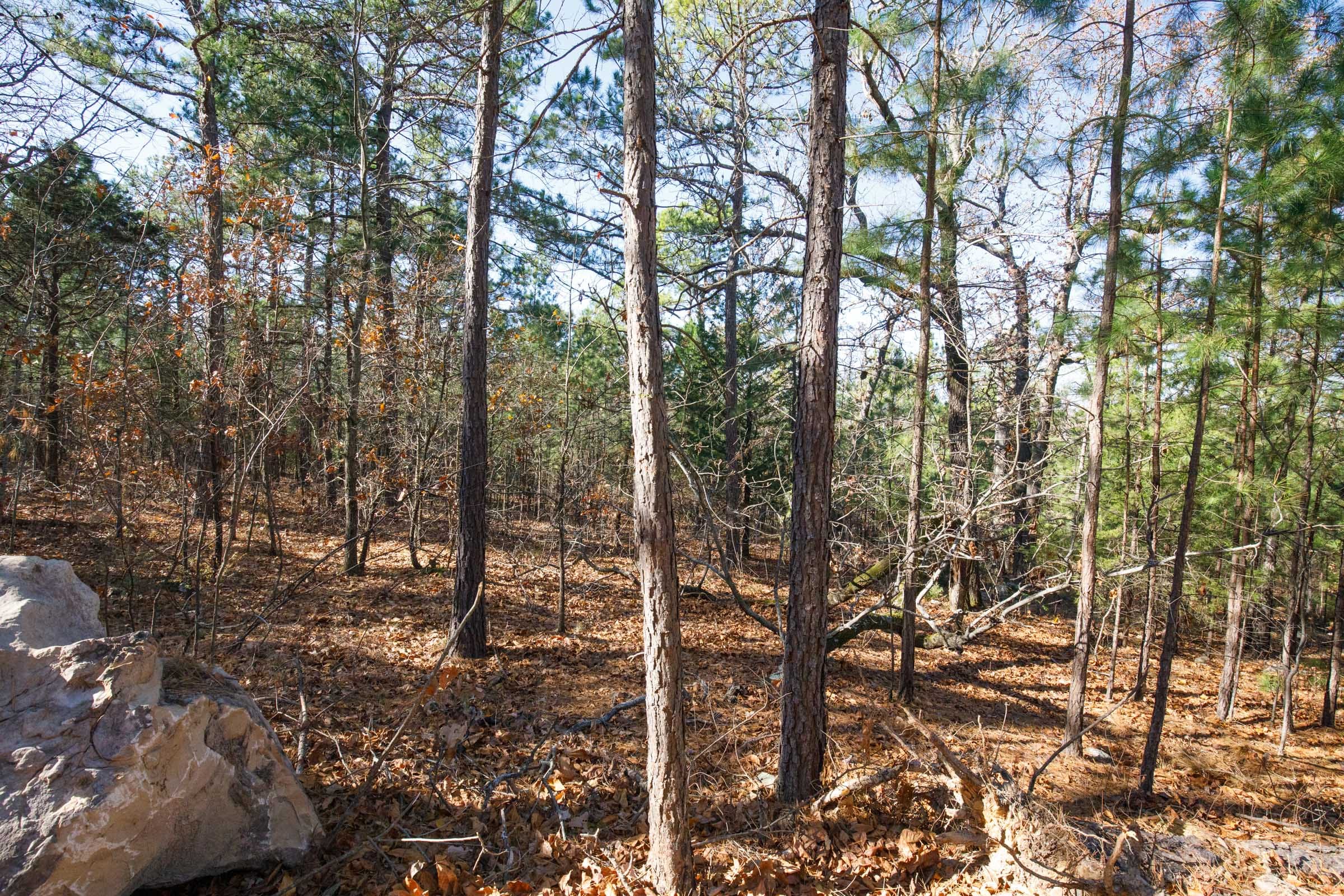 Stone Bridge Phase II Tract 100 photo 14