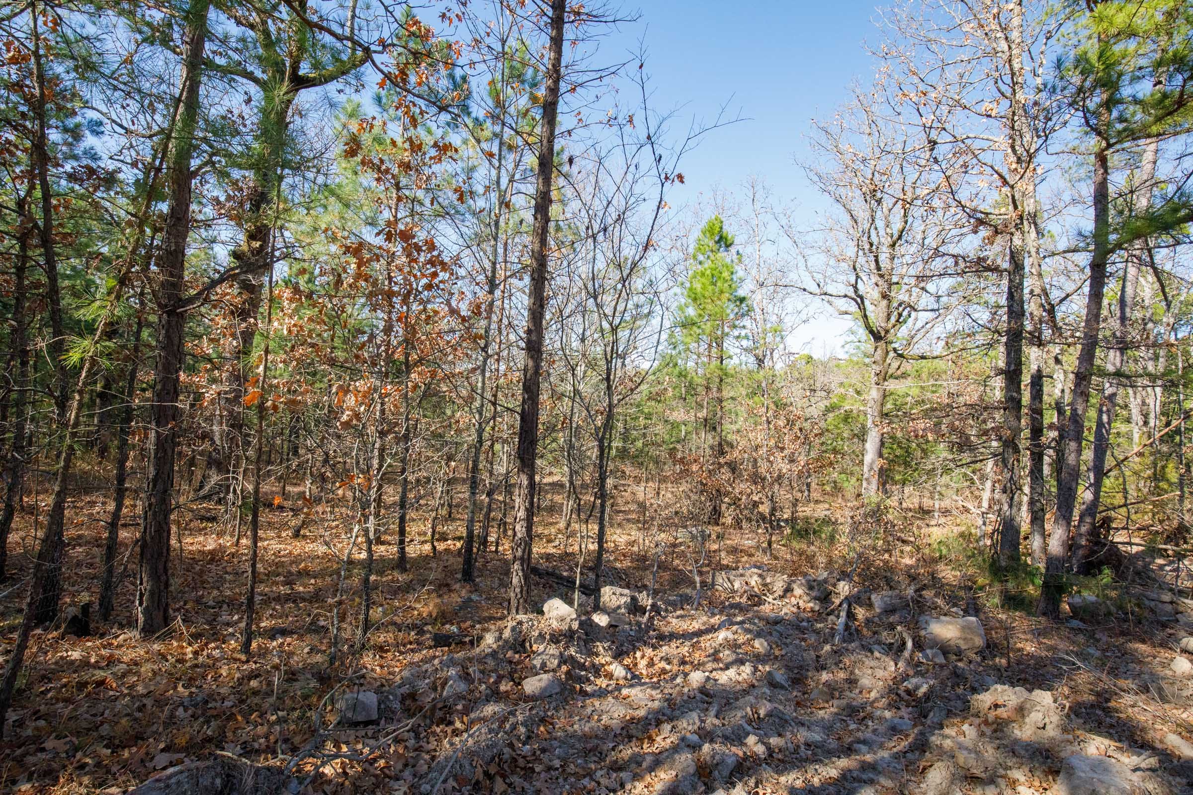 Stone Bridge Phase II Tract 100 photo 15