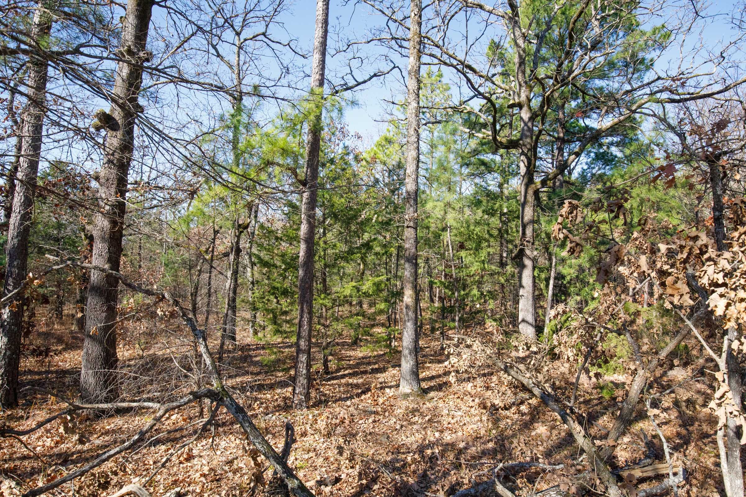 Stone Bridge Phase II Tract 100 photo 16
