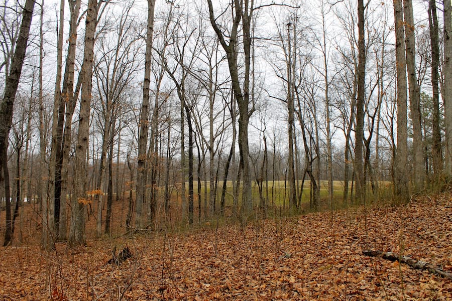 The Tennessean Tract 46 photo 5