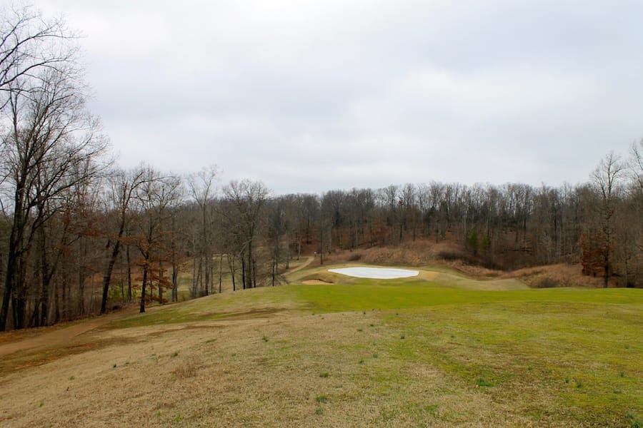 The Tennessean Tract 46 photo 7