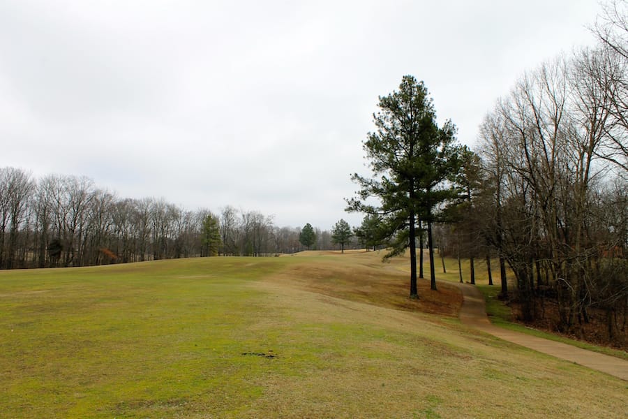 The Tennessean Tract 46 photo 8