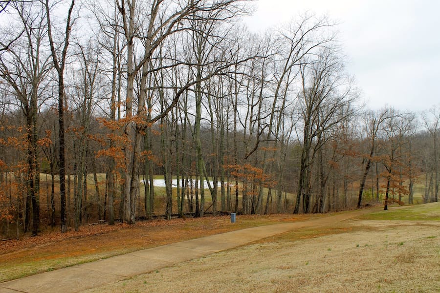 The Tennessean Tract 46 photo 10