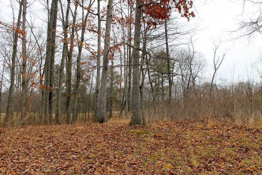 The Tennessean Tract 46 photo 13