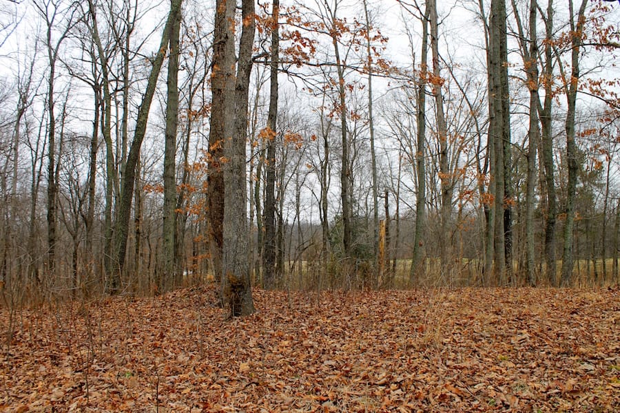 The Tennessean Tract 46 photo 14