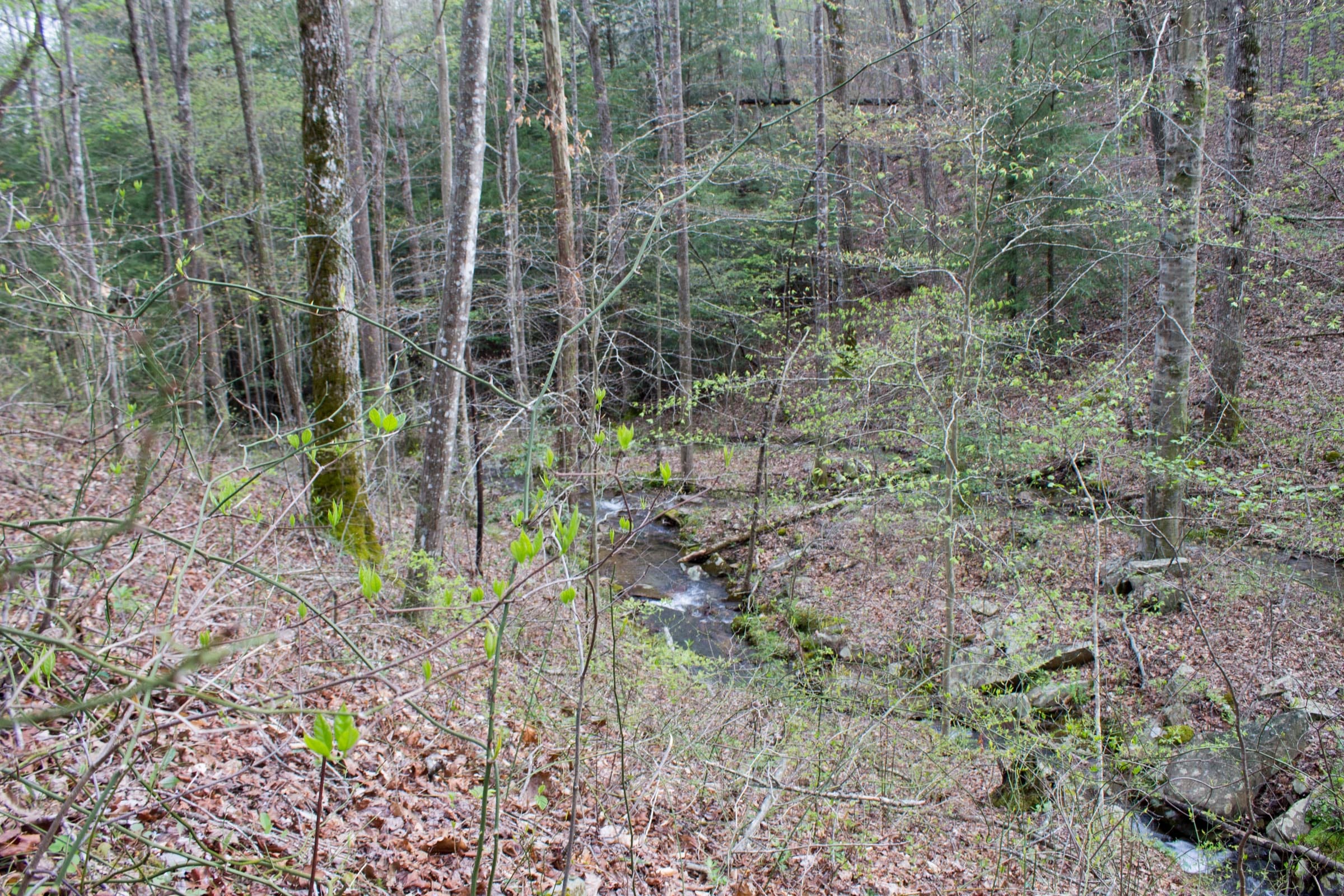 Hidden Hills Tract 45 photo 6