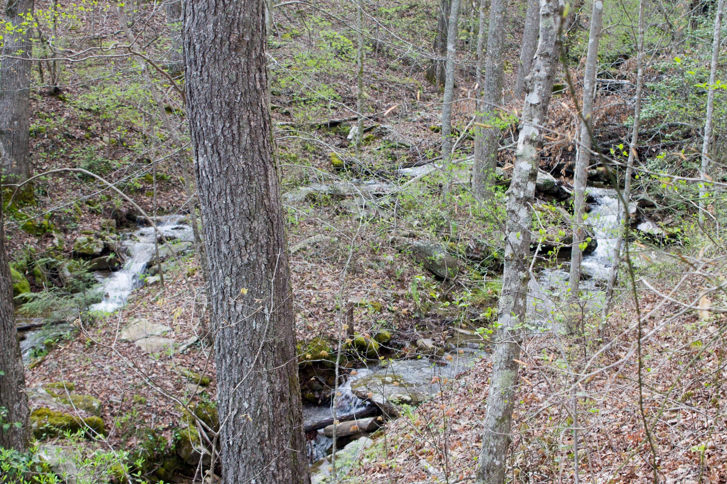 Hidden Hills Tract 45 photo 8