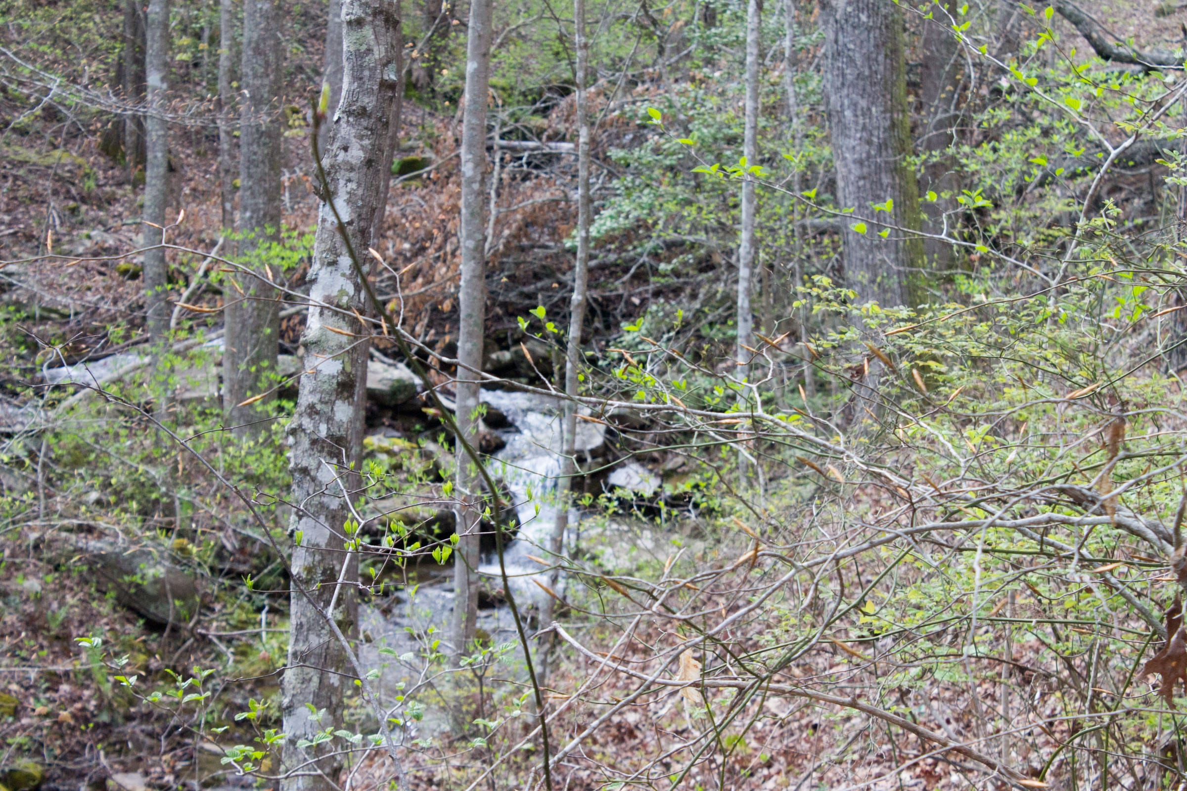 Hidden Hills Tract 45 photo 10