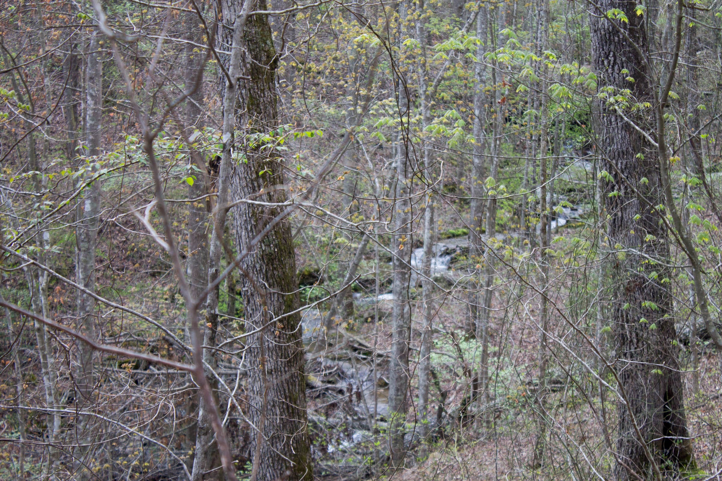 Hidden Hills Tract 45 photo 13