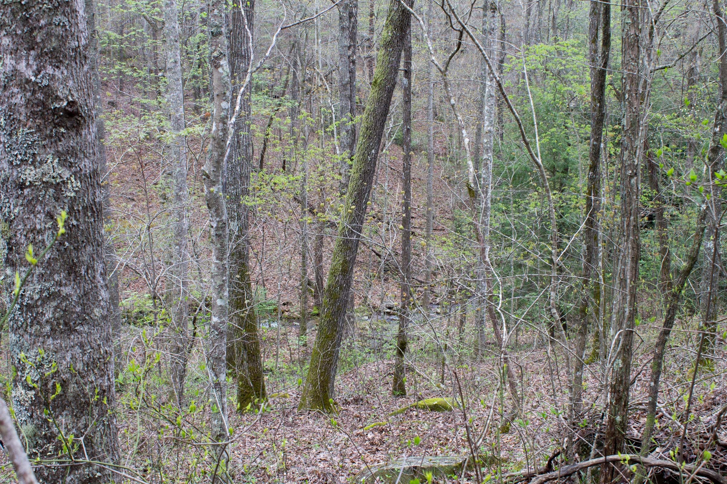 Hidden Hills Tract 45 photo 14