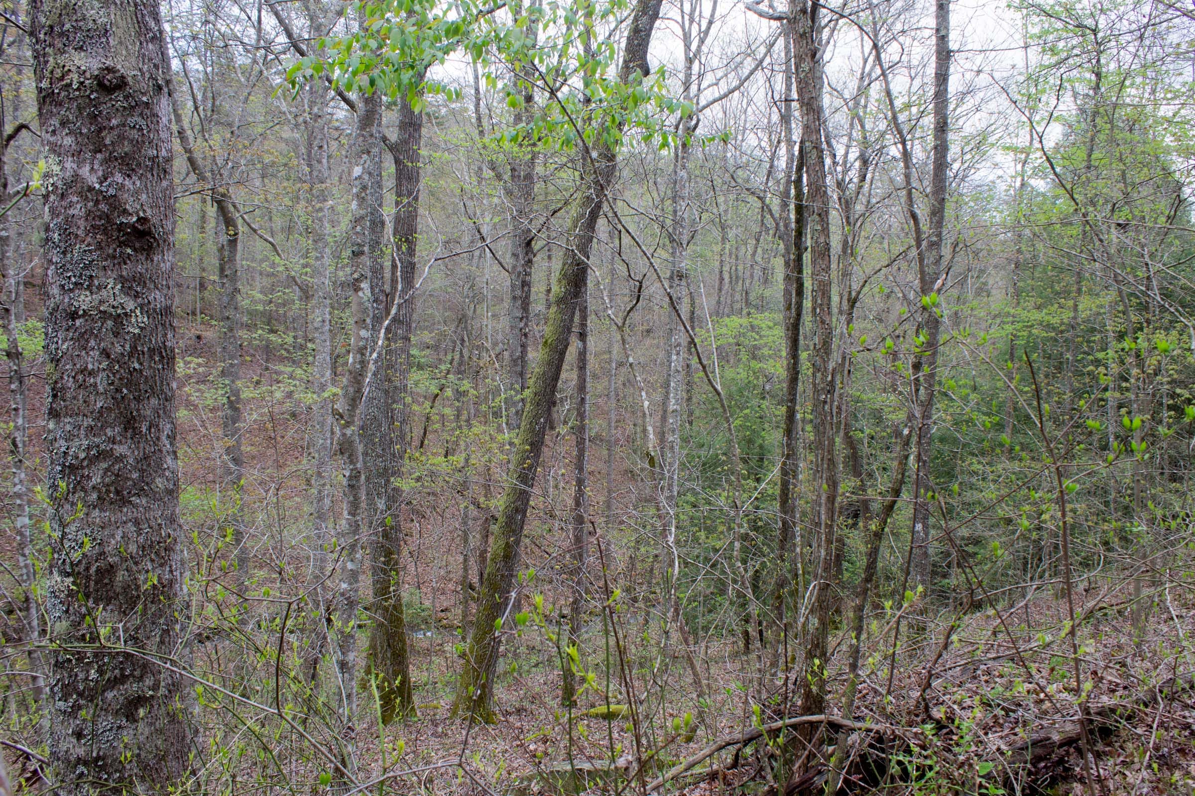 Hidden Hills Tract 45 photo 15