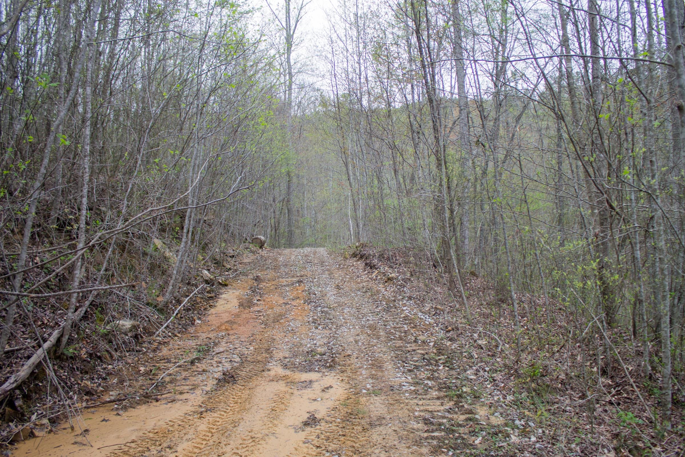 Hidden Hills Tract 45 photo 2