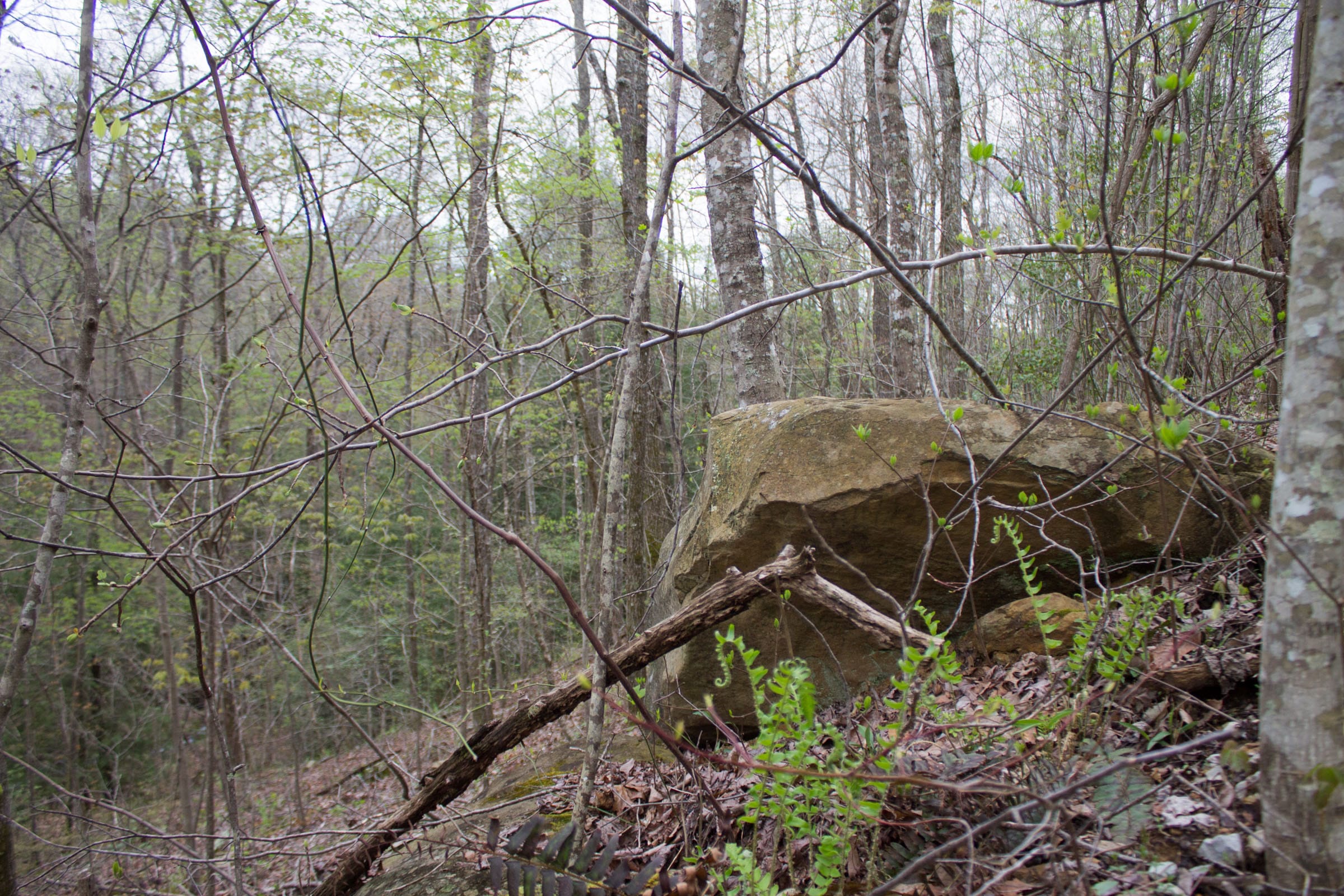 Hidden Hills Tract 45 photo 16