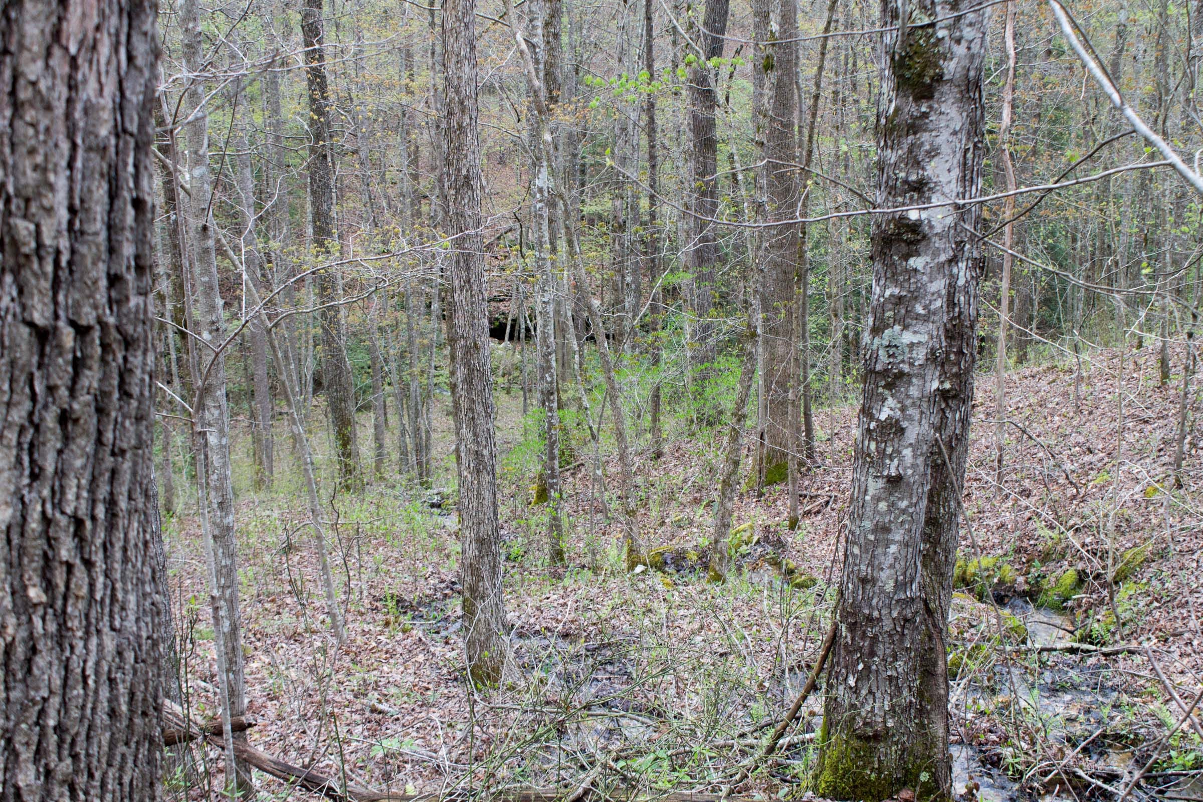 Hidden Hills Tract 45 photo 17