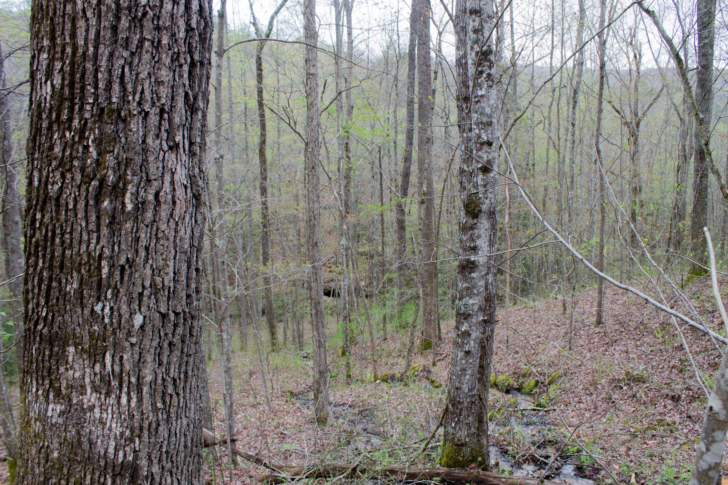 Hidden Hills Tract 45 photo 18