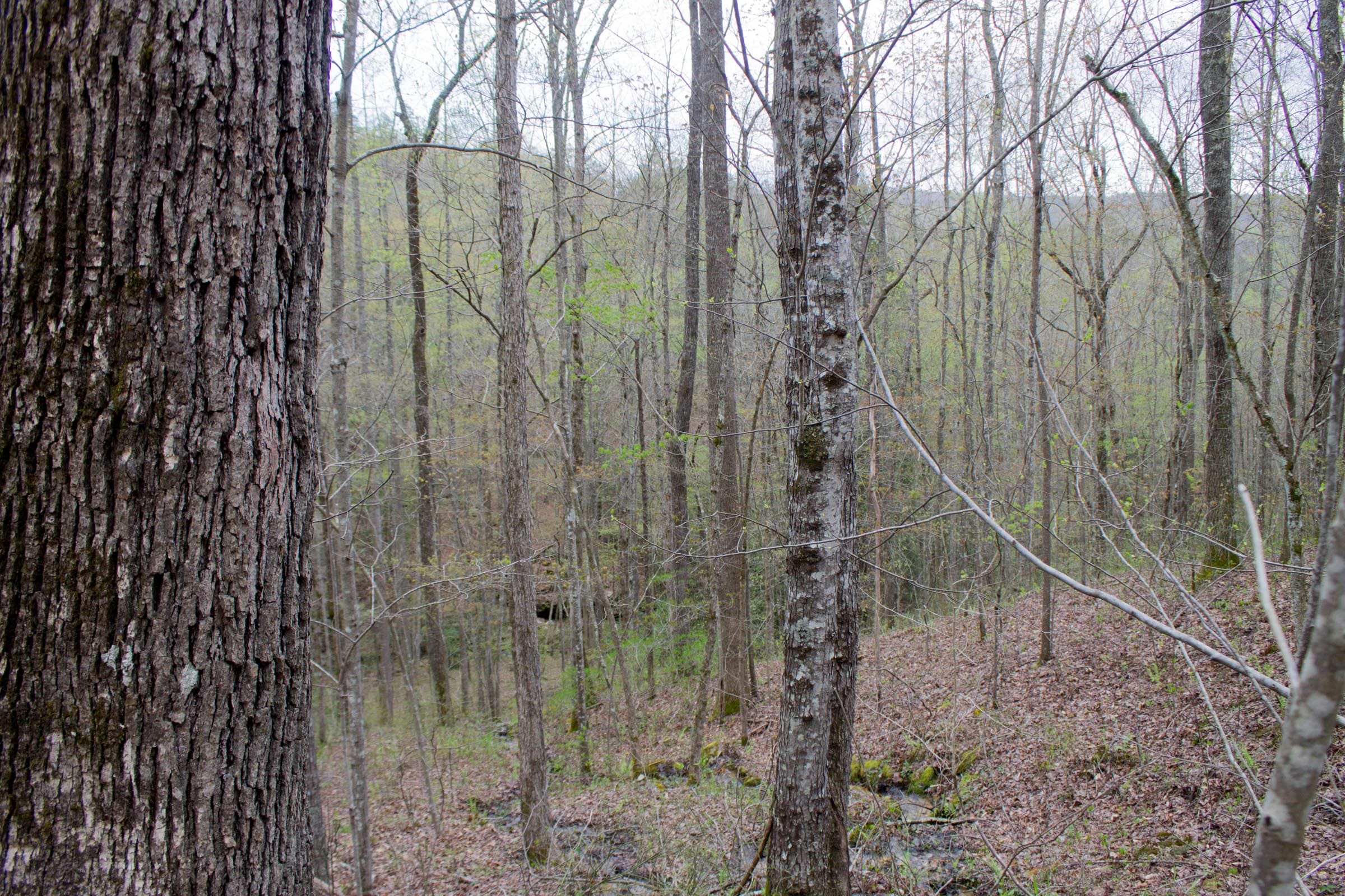 Hidden Hills Tract 45 photo 19