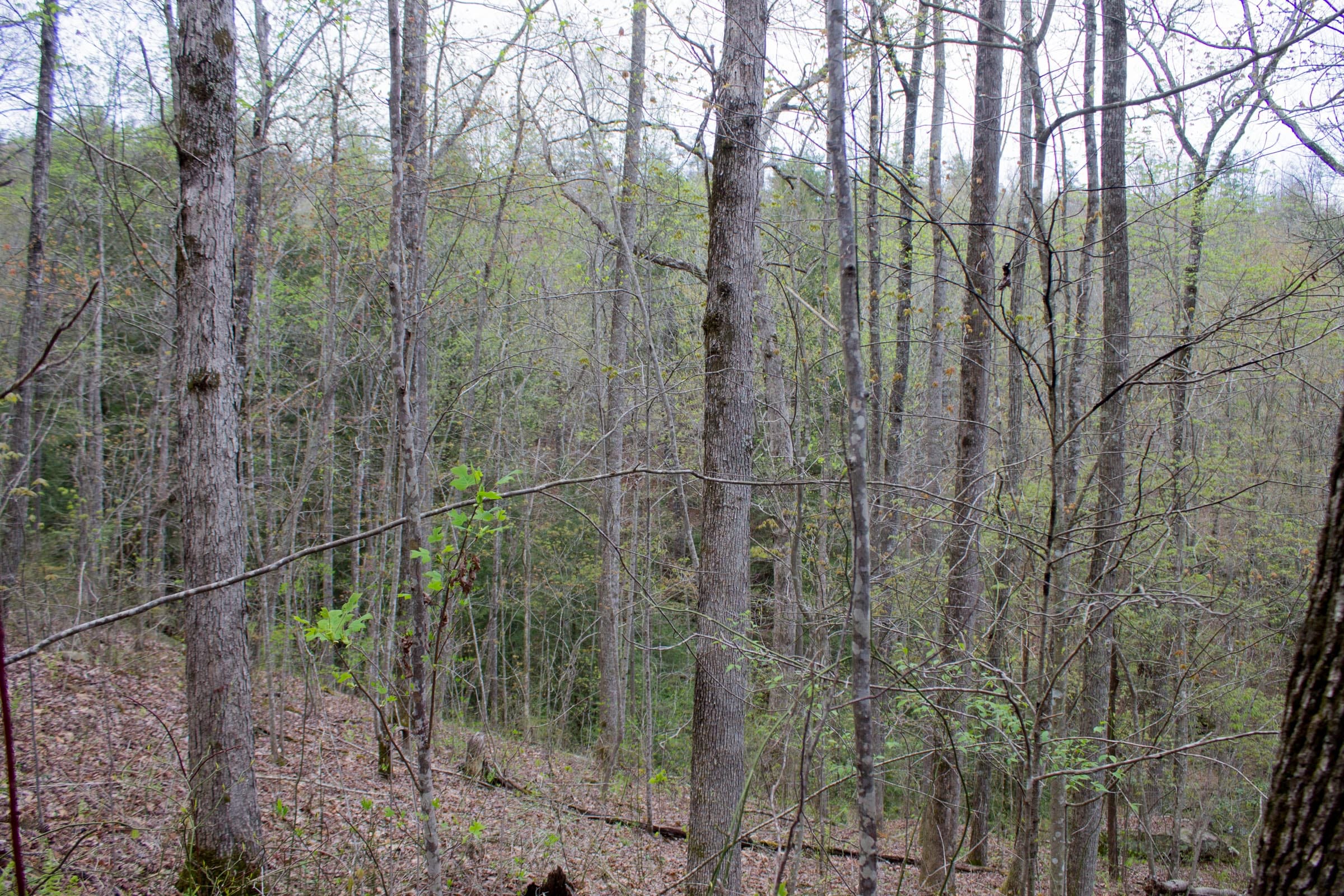 Hidden Hills Tract 45 photo 20