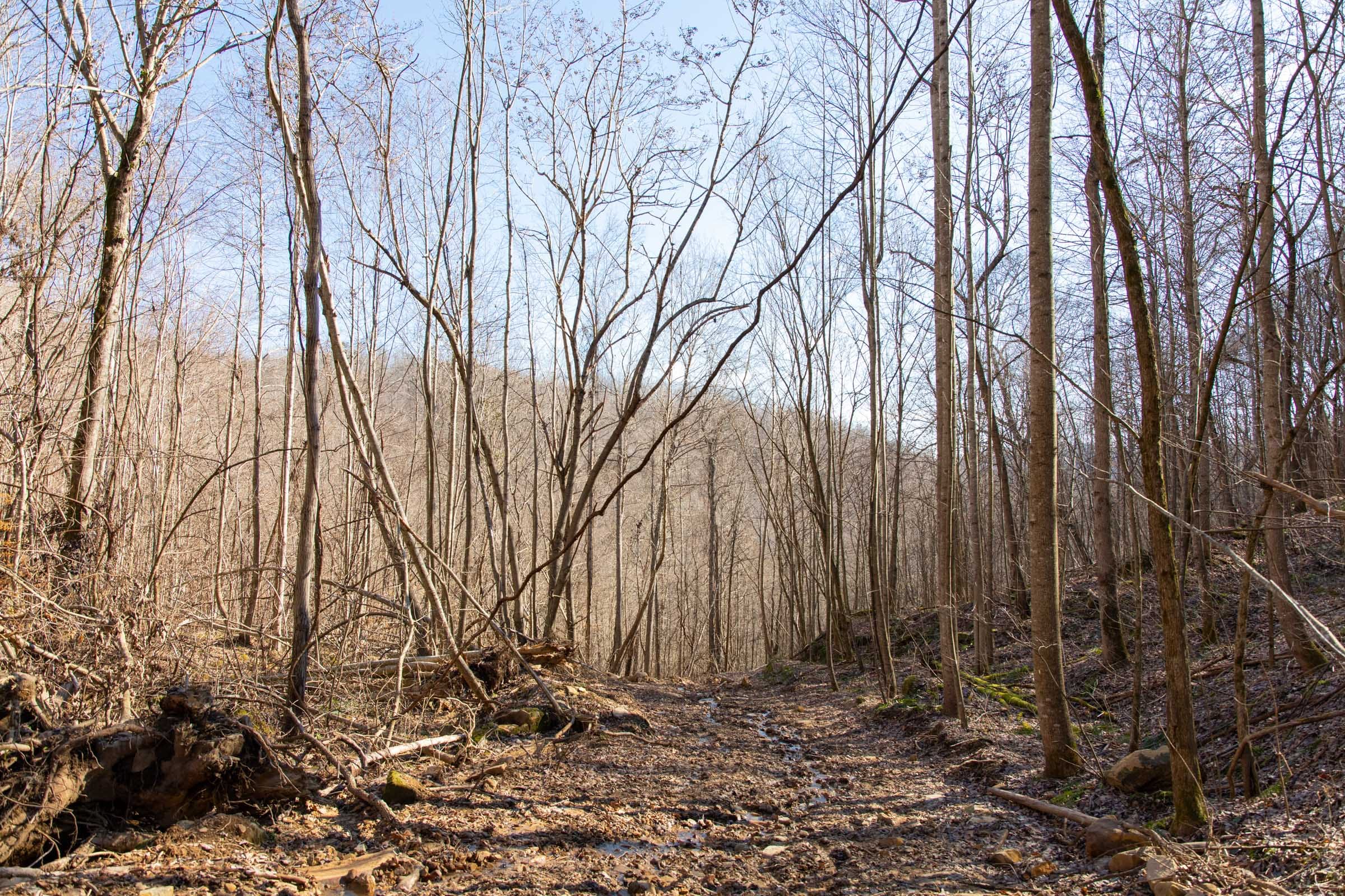 Blackstone Mountain Phase I Tract 16 photo 3