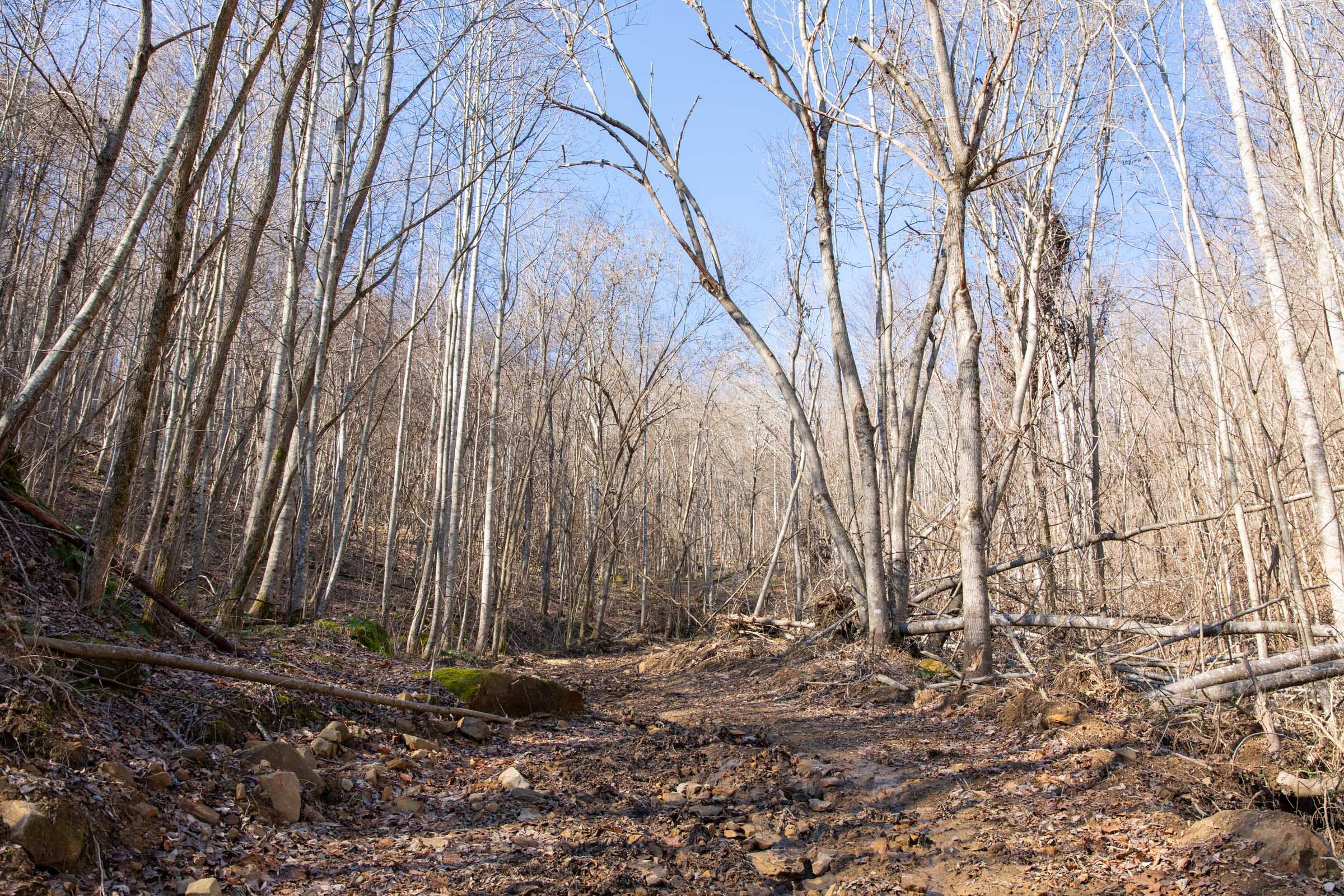 Blackstone Mountain Phase I Tract 16 photo 7