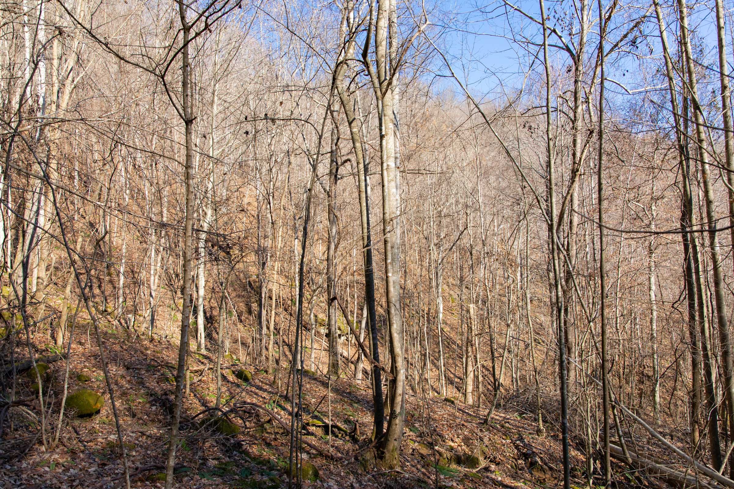 Blackstone Mountain Phase I Tract 16 photo 11
